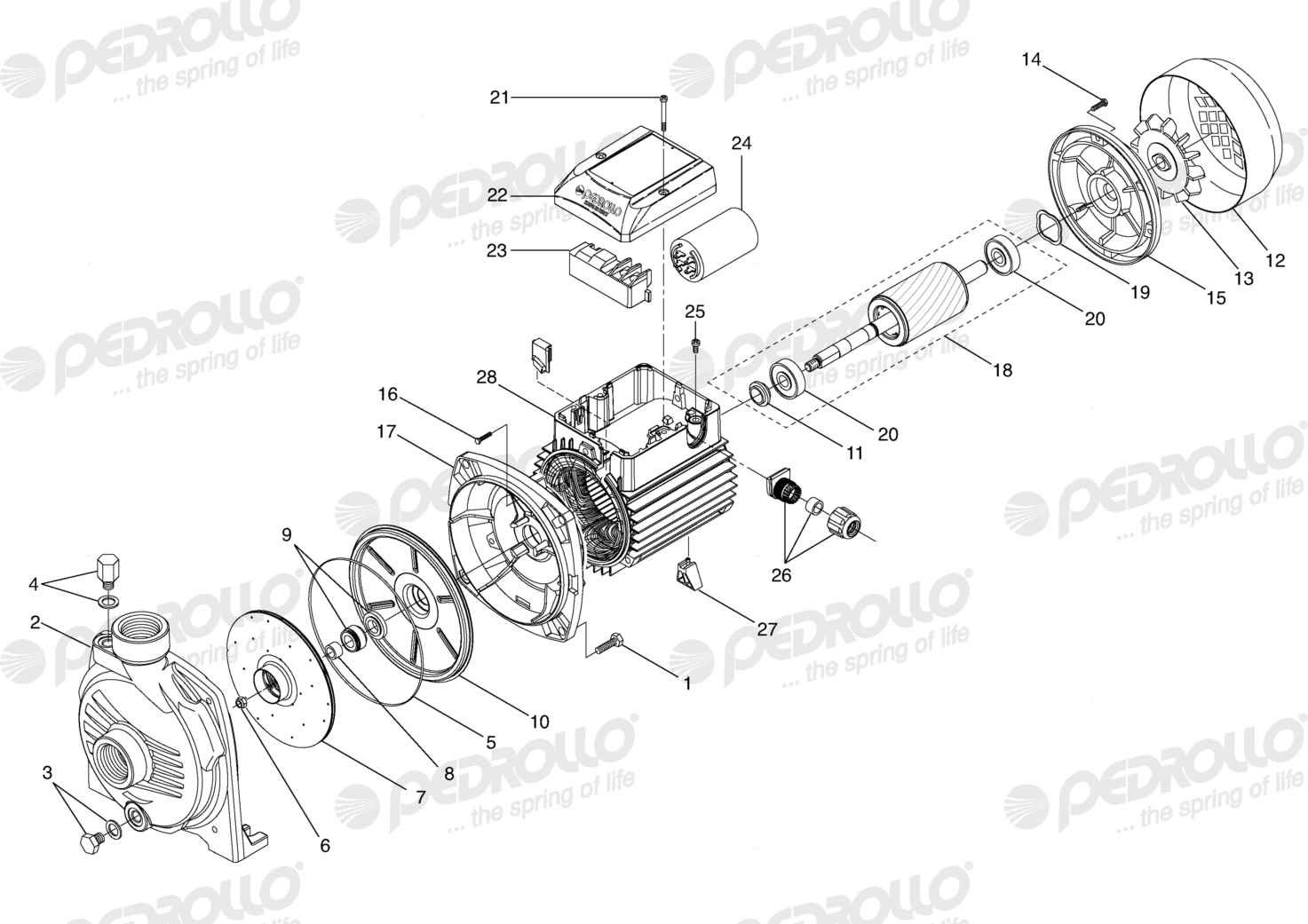 Despiece Pedrollo CPm 600 · 220V · versión C