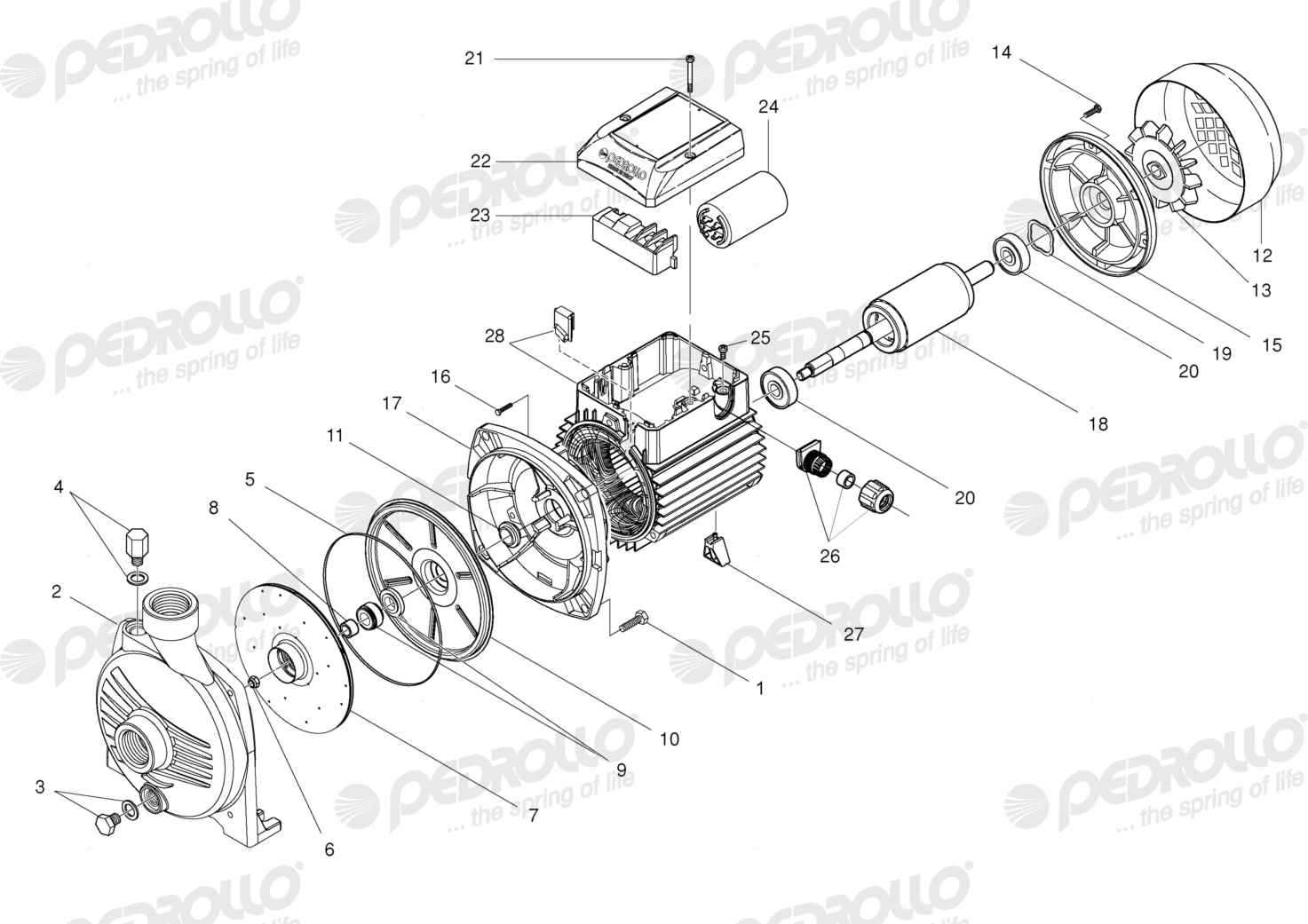Despiece Pedrollo CPm 610 · 220V · versión Sin letra