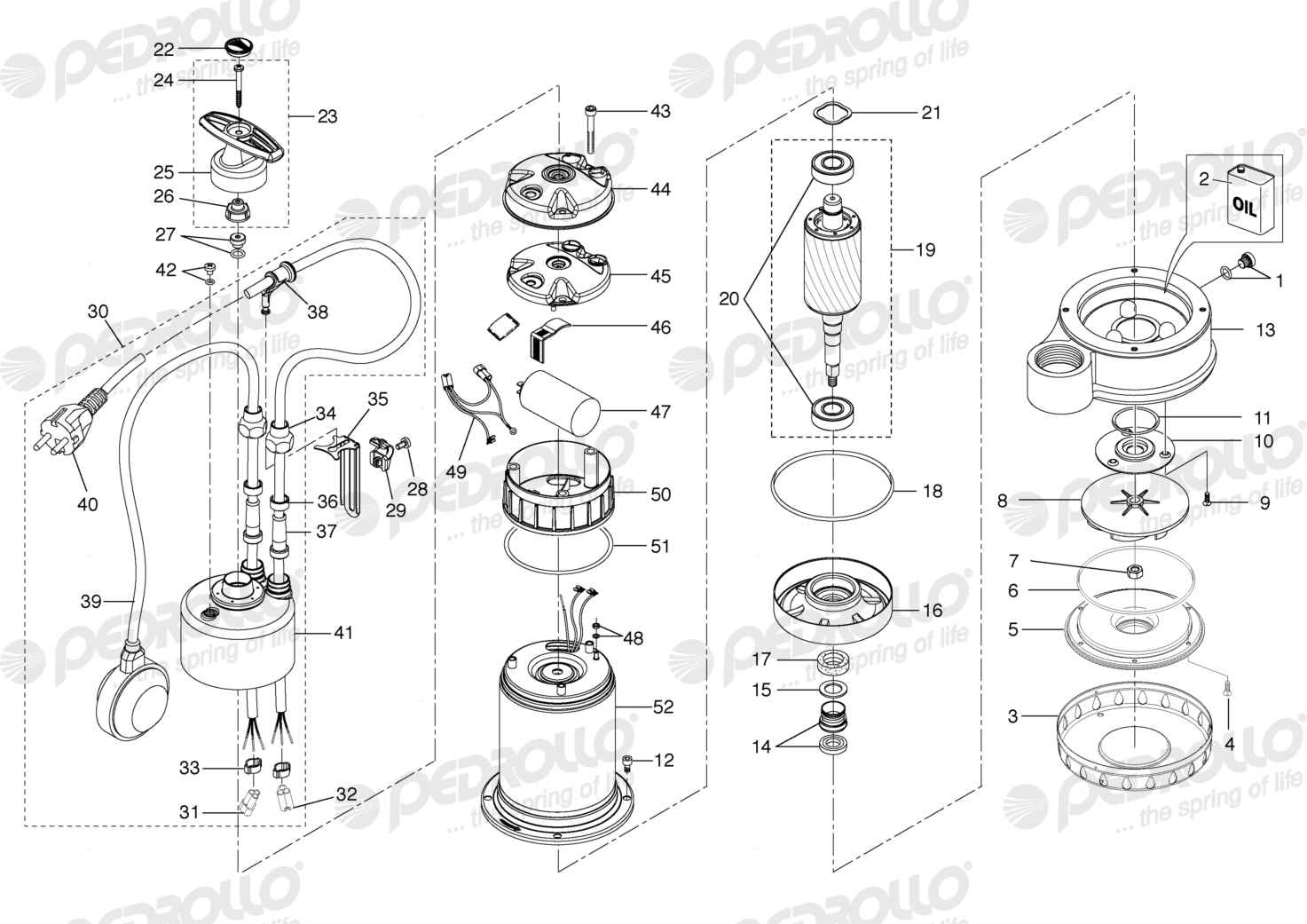 Despiece Pedrollo Dm 10 · 220V · versión D