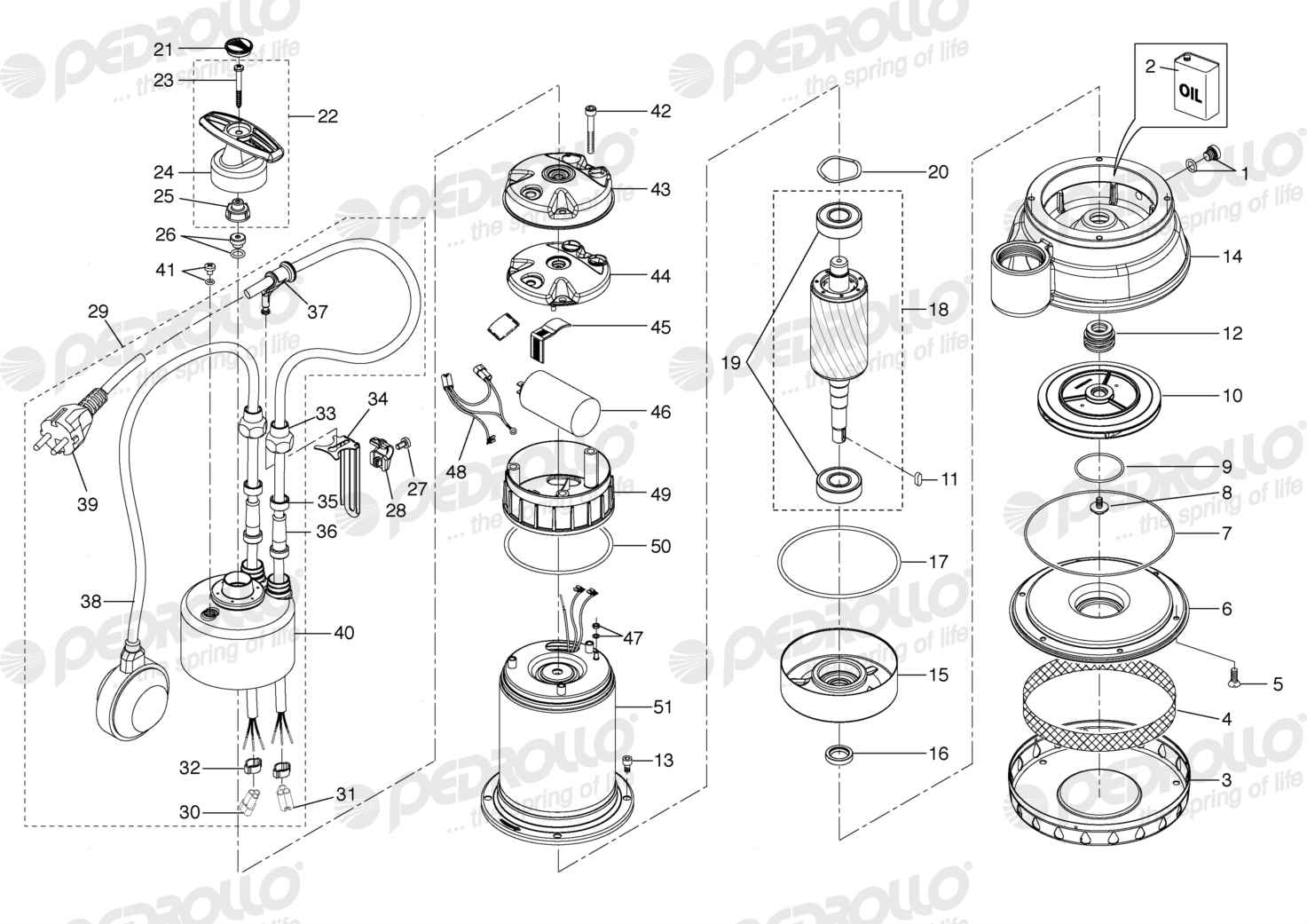 Despiece Pedrollo Dm 30 · 220V · versión B