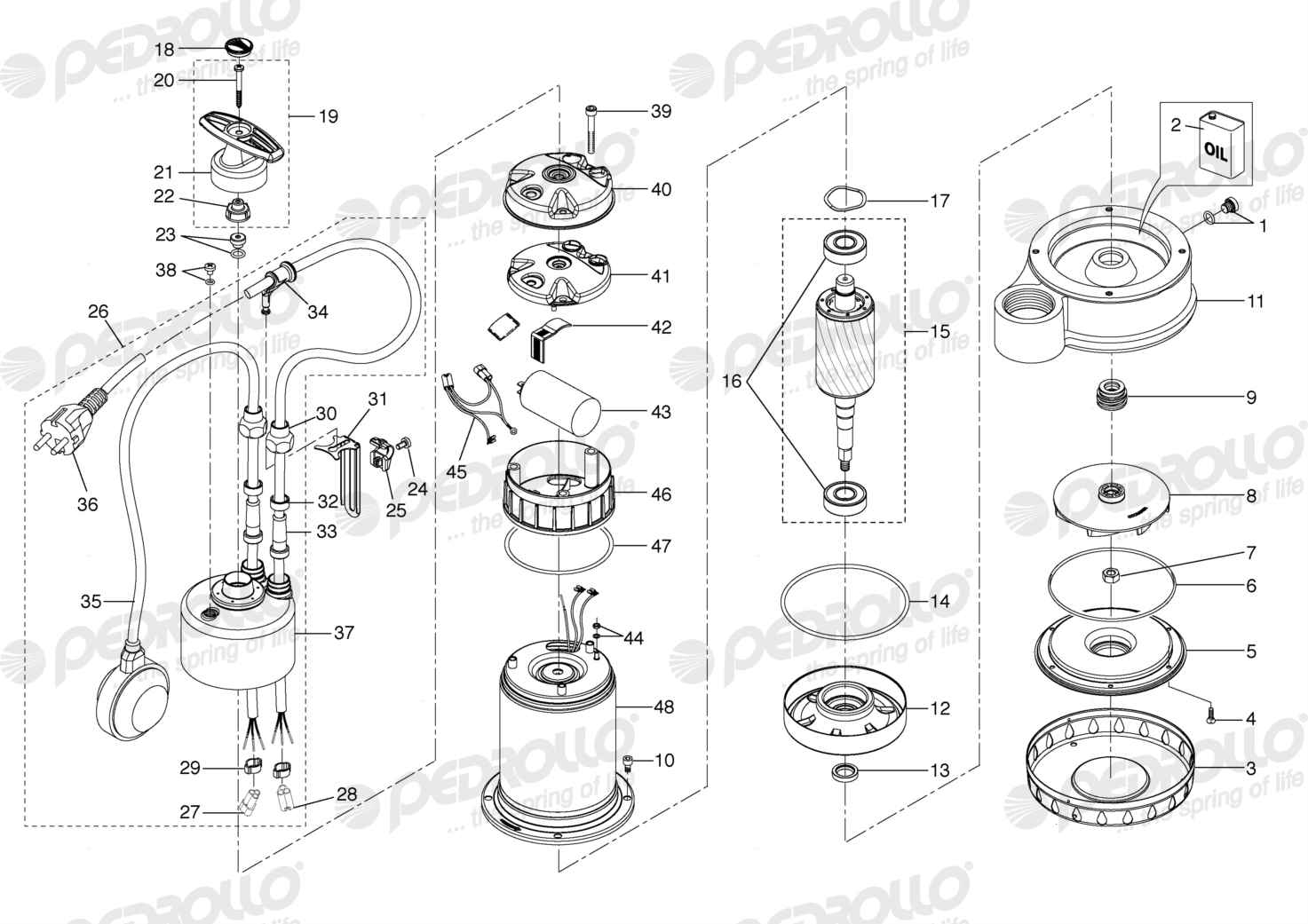 Despiece Pedrollo Dm 20 · 220V · versión D