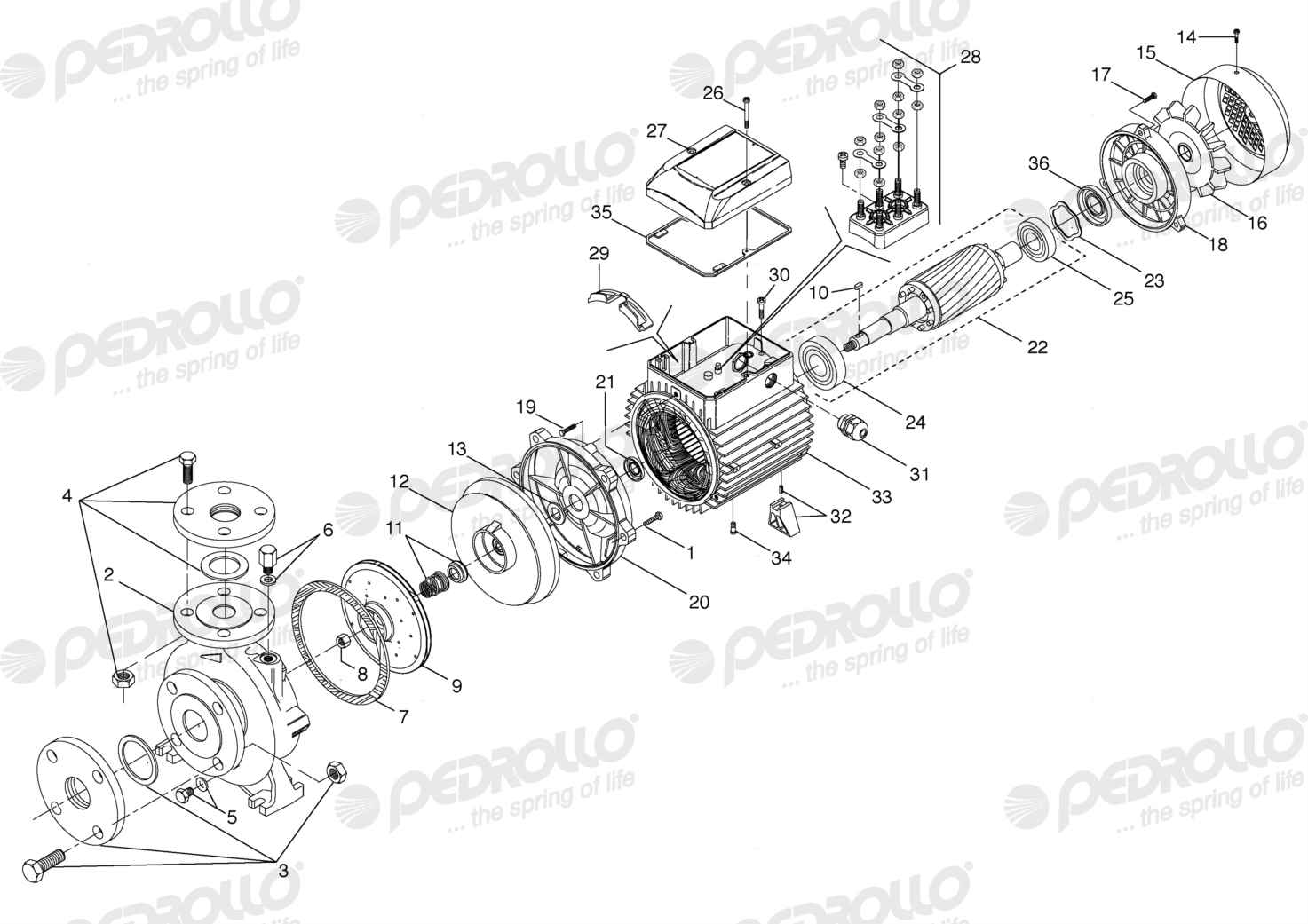 Despiece Pedrollo F 32/160A · 220/380V · versión D