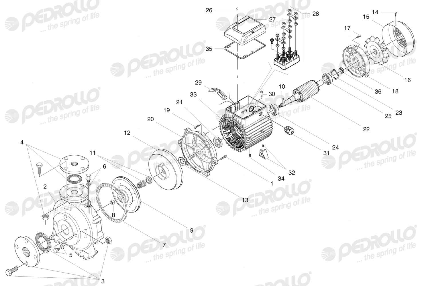 Despiece Pedrollo F 40/160B · 220/380V · versión B