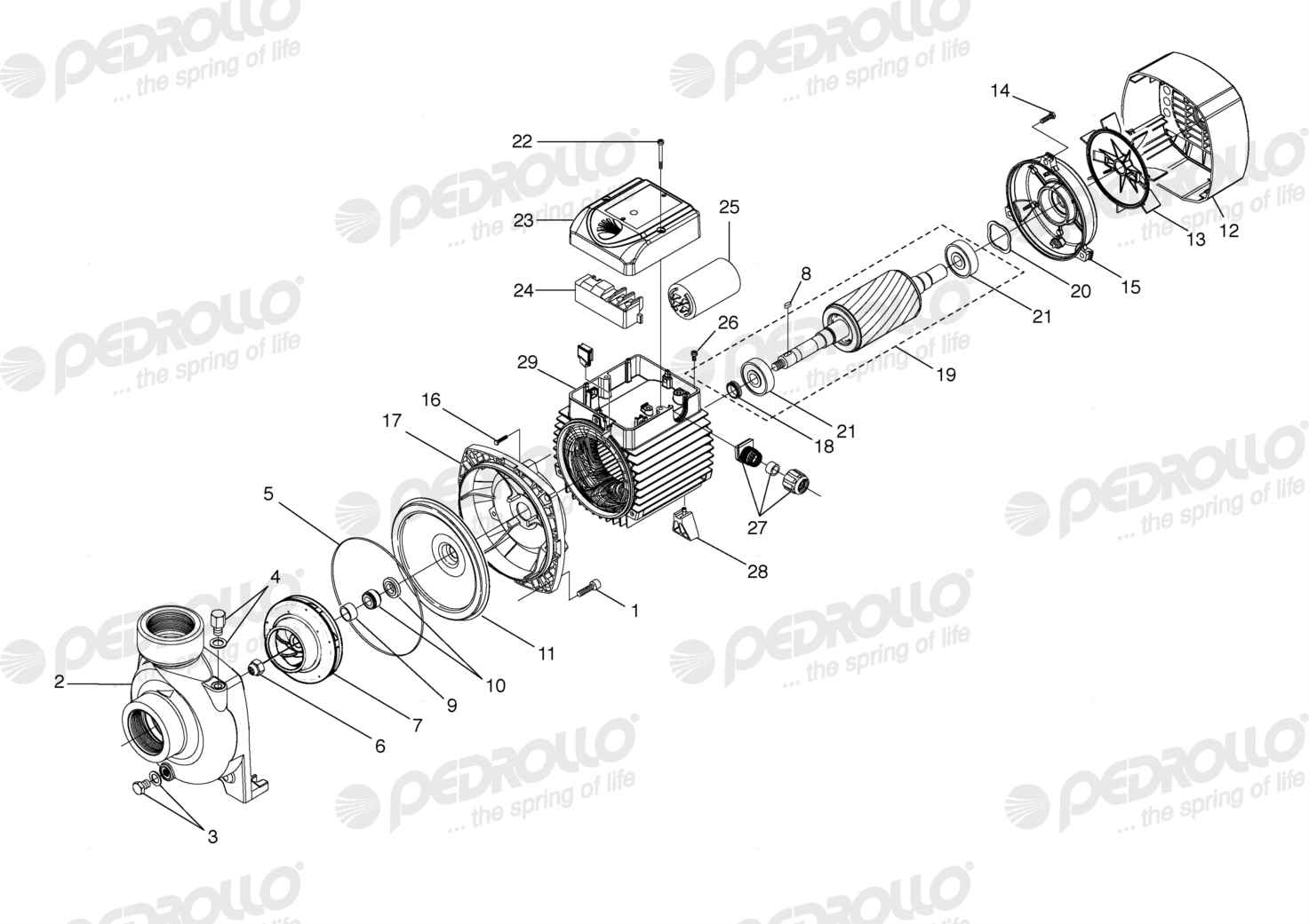 Despiece Pedrollo HFm 51A · 220V · versión D