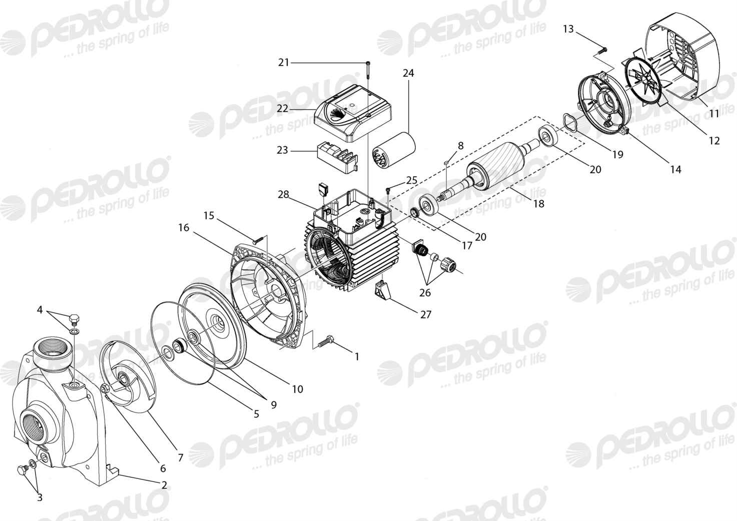 Despiece Pedrollo NGAm 1A-PRO · 220V · versión E