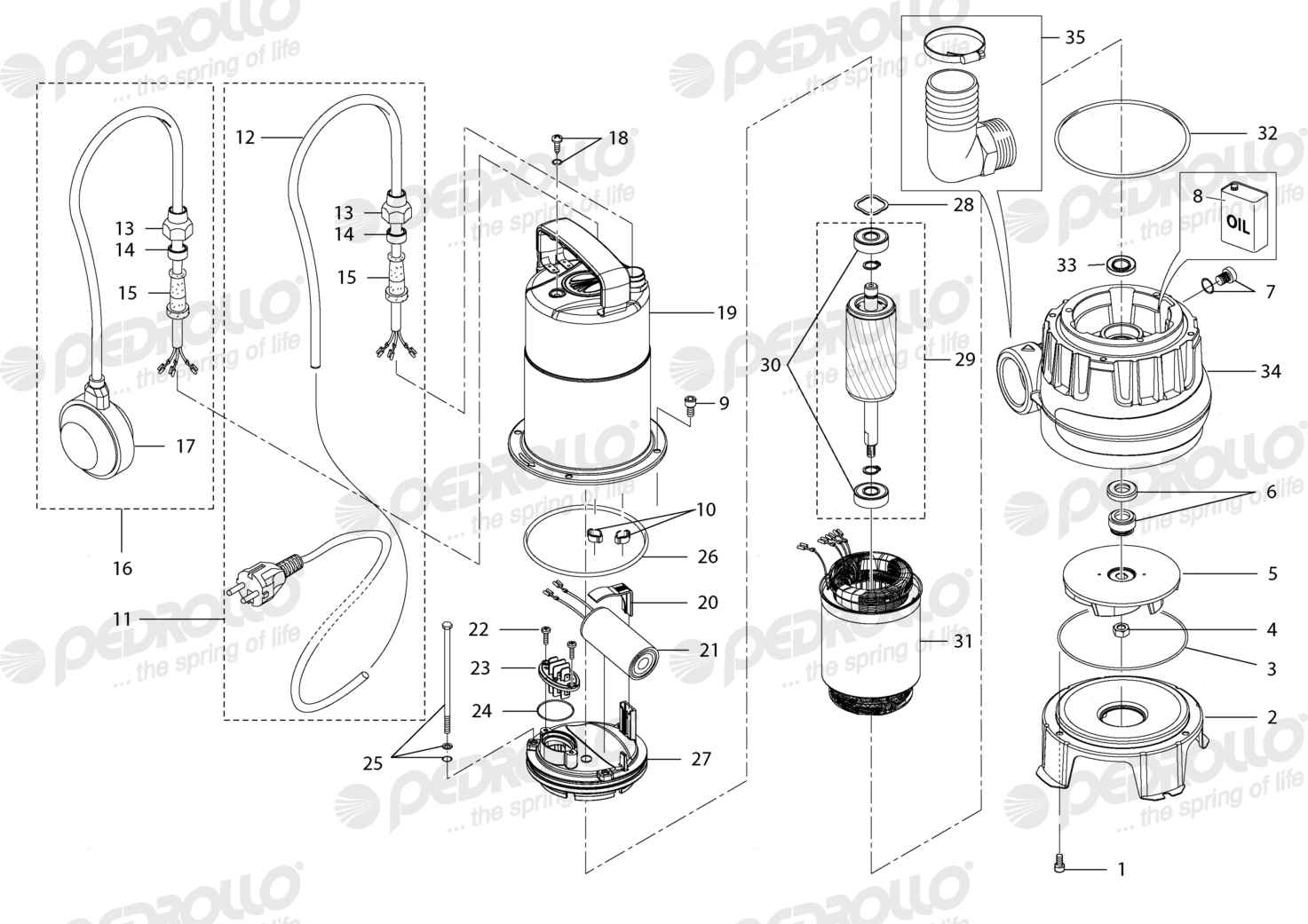 Despiece Pedrollo ZXm 1A/40 · 220V · versión D