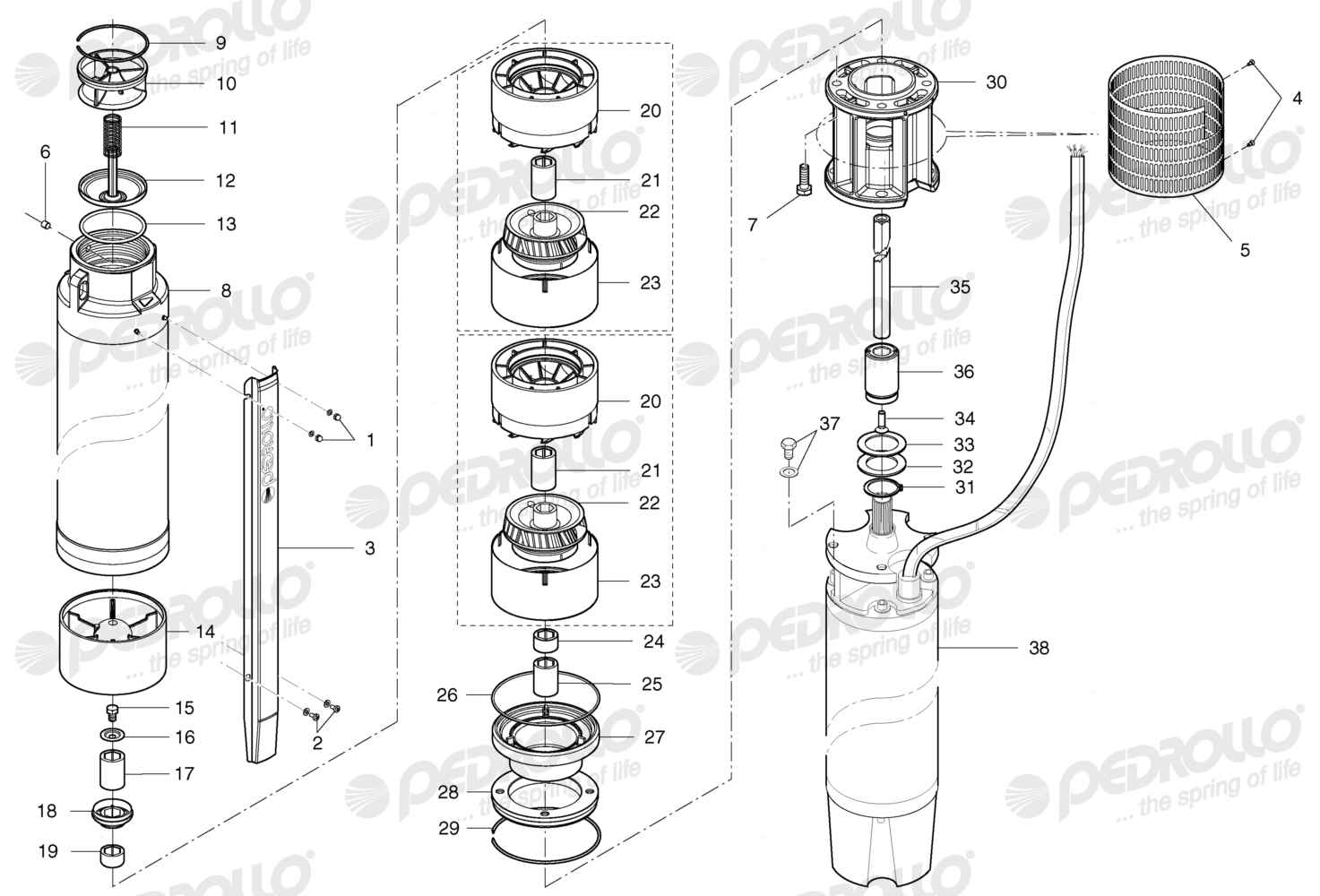 Despiece Pedrollo 6SR225G/300 · Rosca NPT · versión M