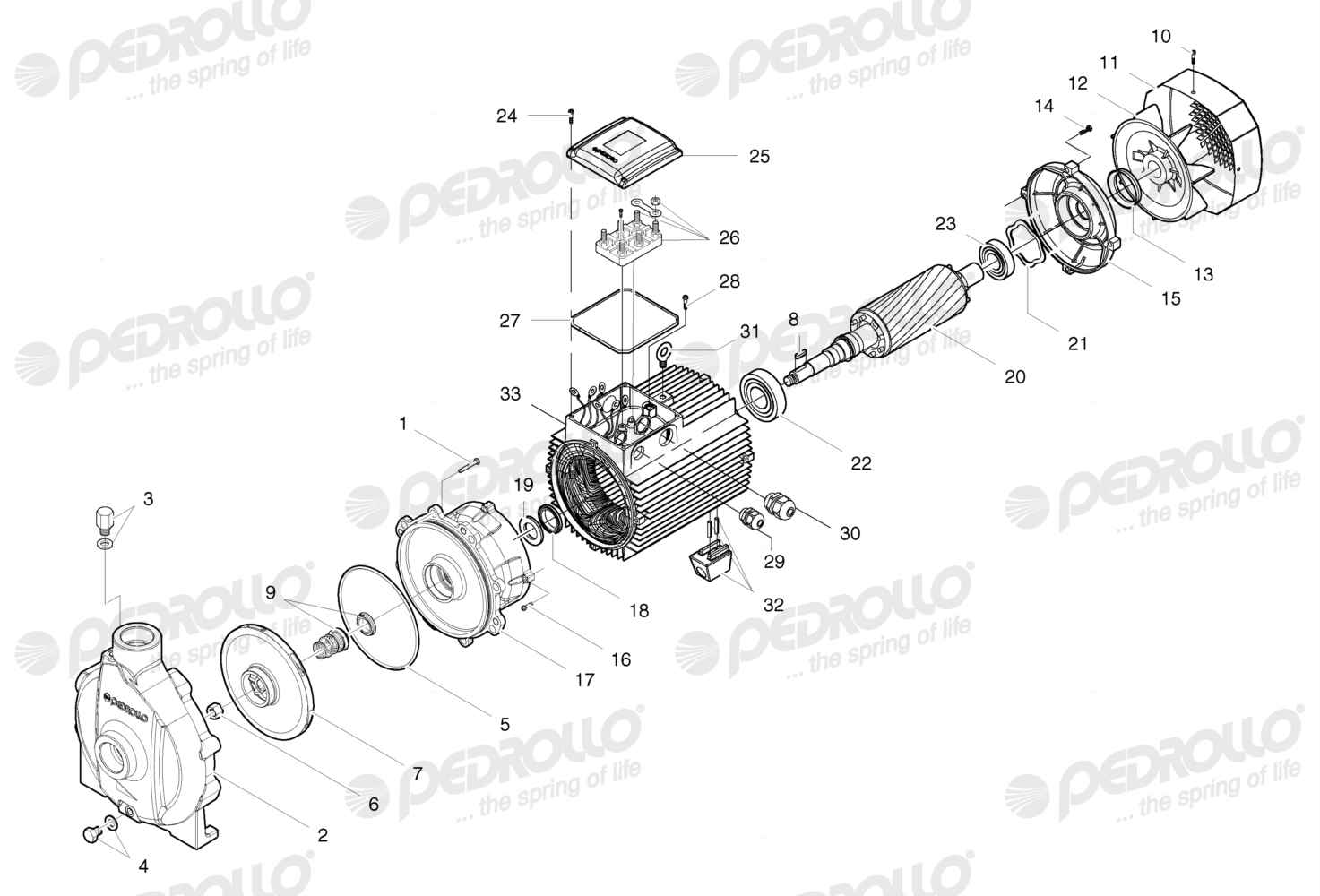 Despiece Pedrollo CP 750B · 220/380V · versión Sin letra