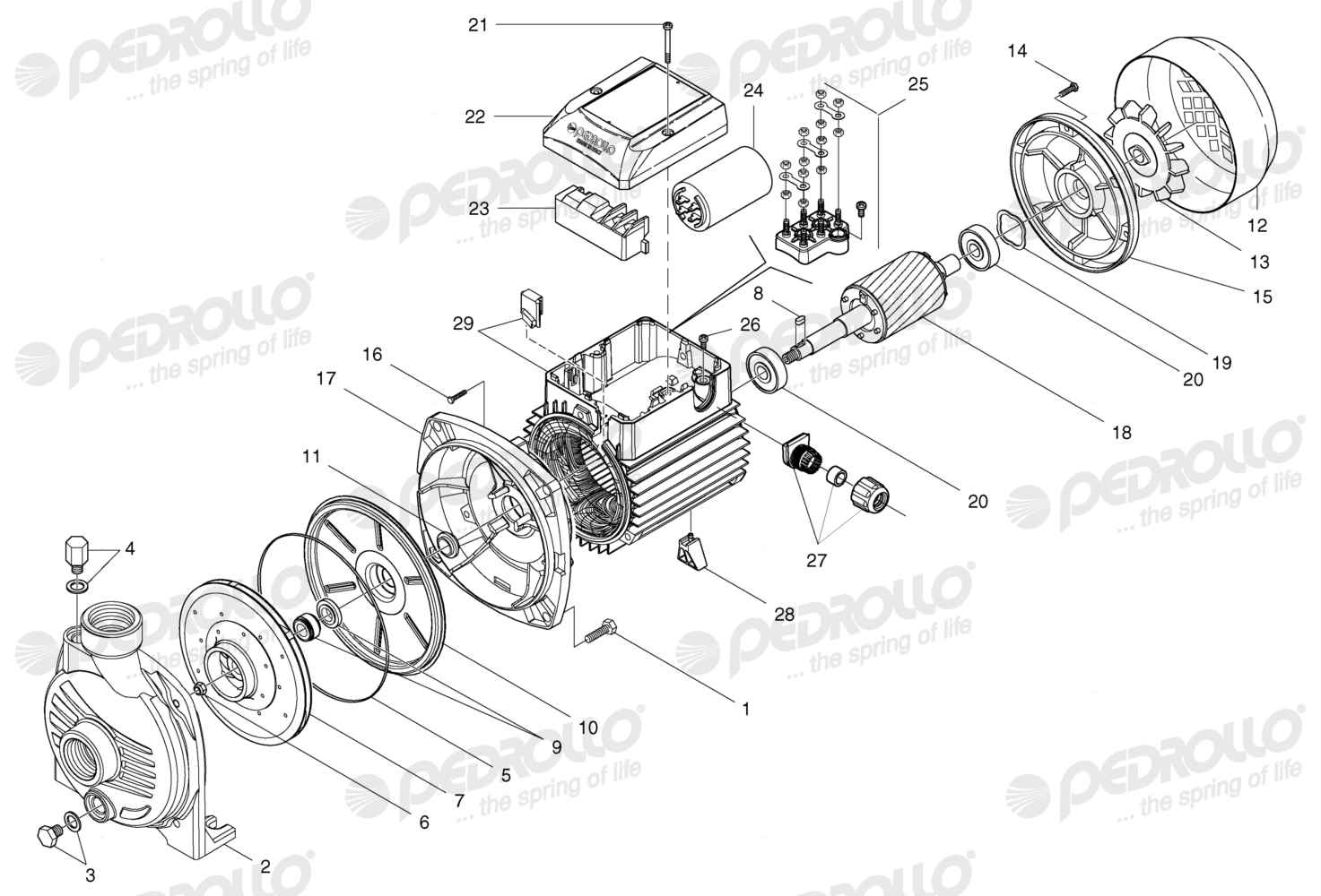 Despiece Pedrollo CPm 600 · 220V · versión A