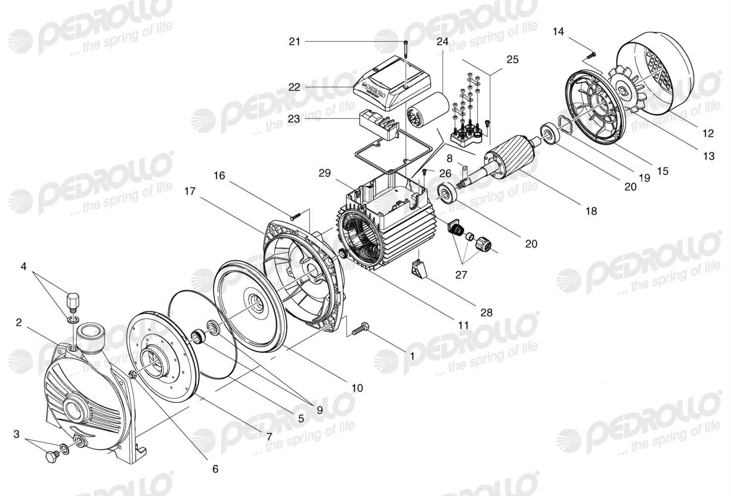 Despiece Pedrollo CPm 620 · 220V · versión Sin letra
