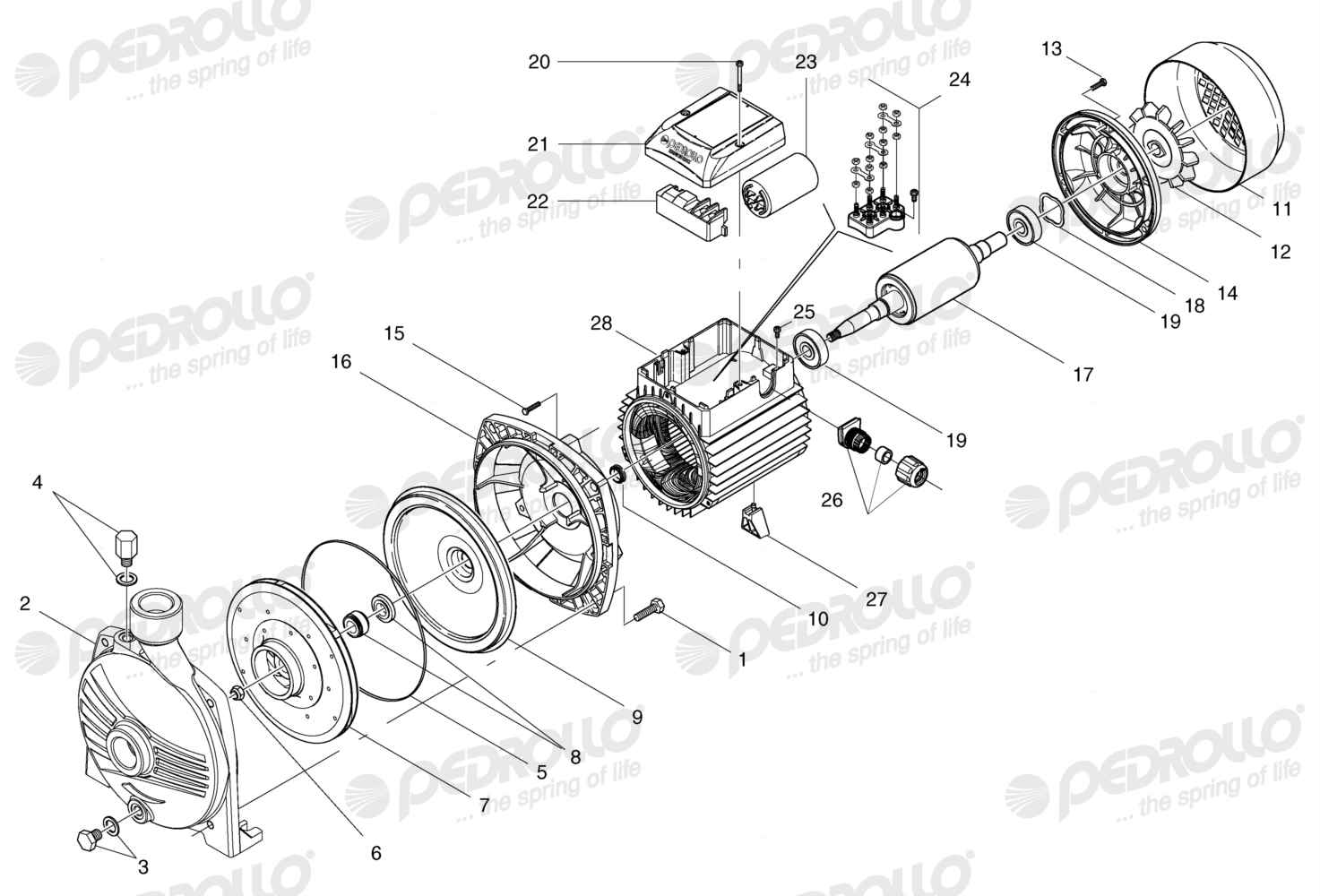 Despiece Pedrollo CPm 620 · 220V · versión A