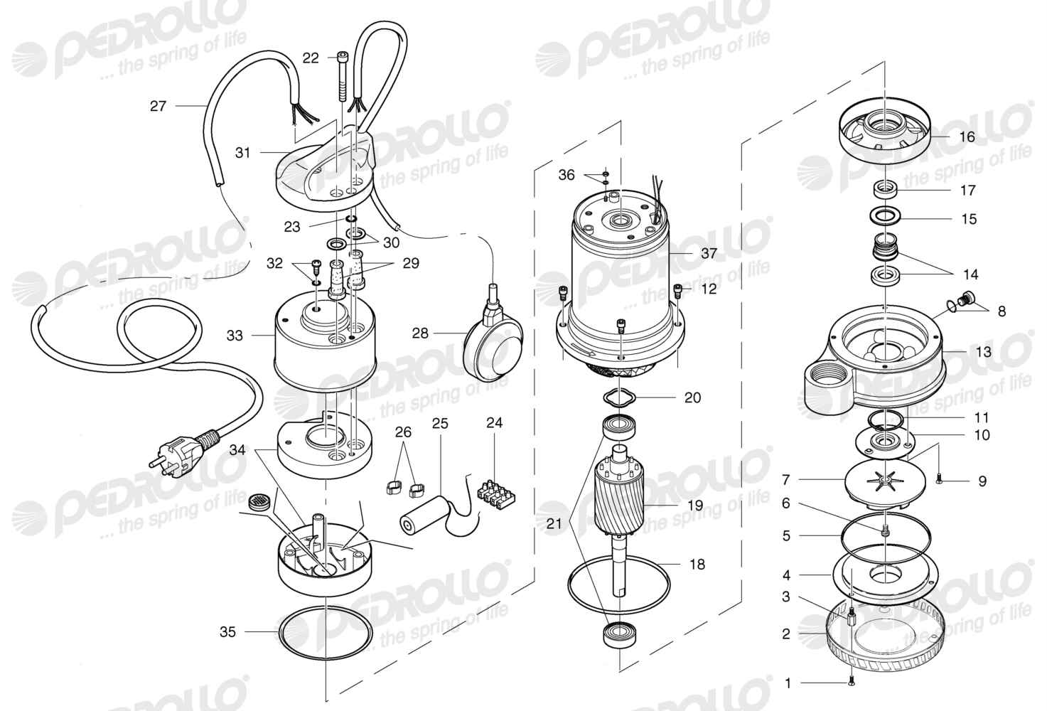 Despiece Pedrollo Dm 10 · 220V · versión A