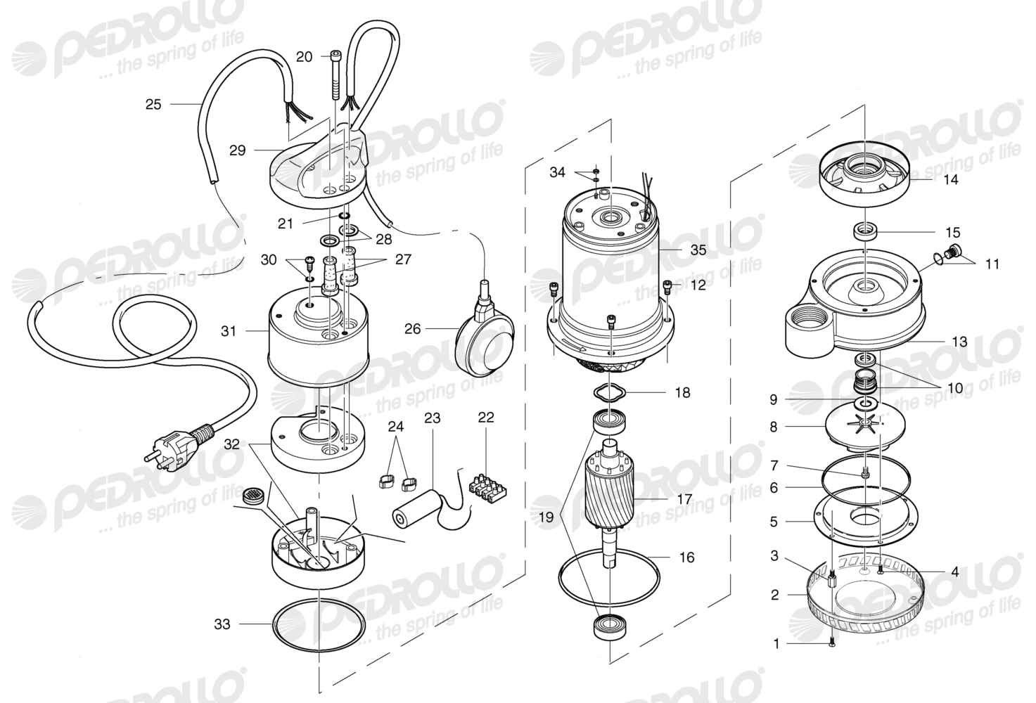 Despiece Pedrollo Dm 20 · 220V · versión A