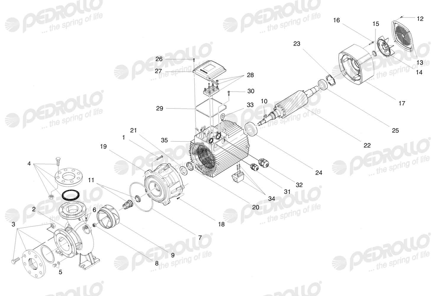 Despiece Pedrollo F 100/160A · 220/380V · versión Sin letra