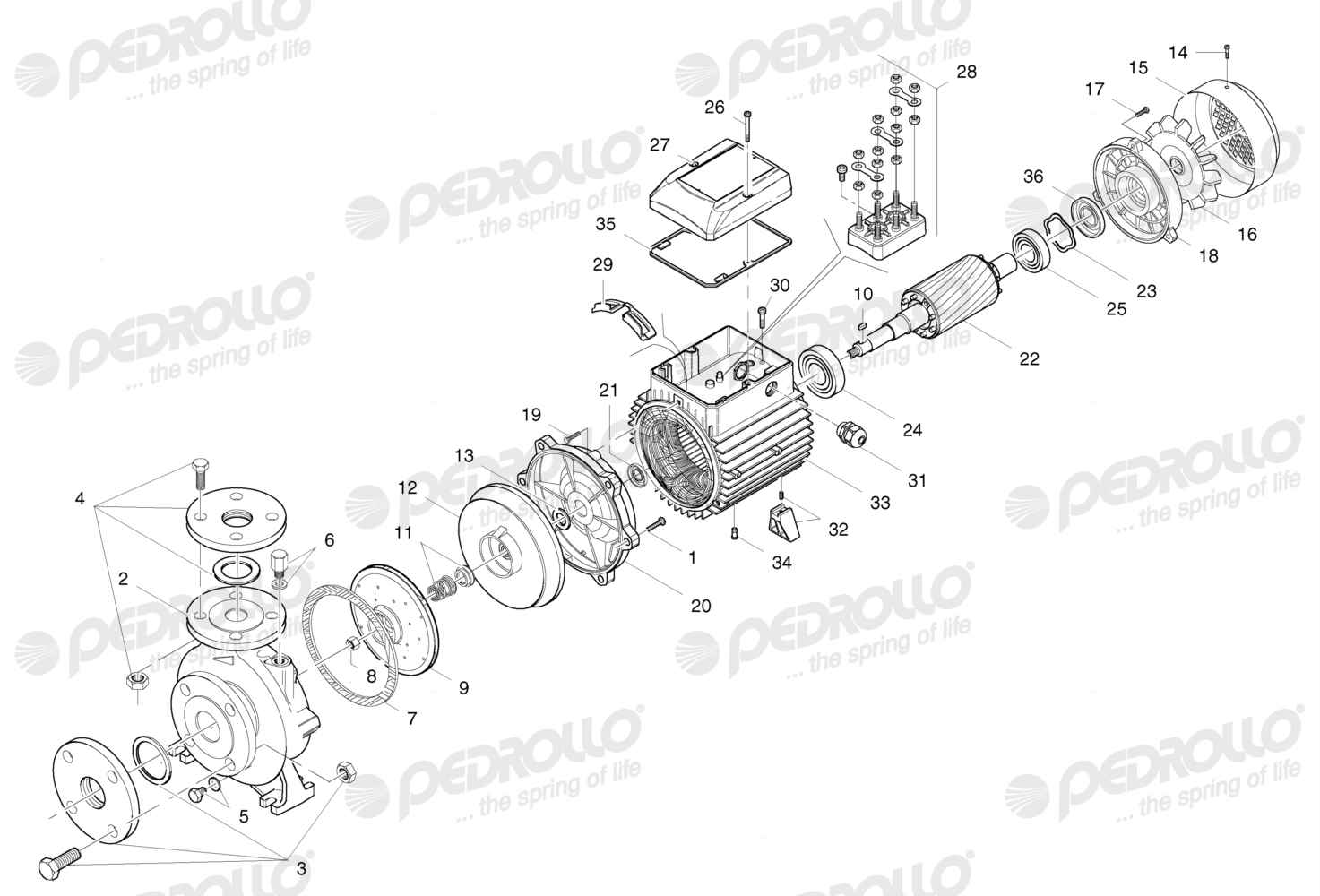Despiece Pedrollo F 32/160A · 220/380V · versión C