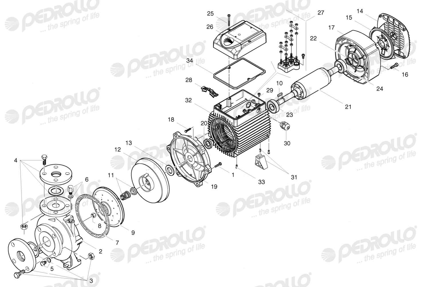 Despiece Pedrollo F 32/160B · 220/380V · versión E