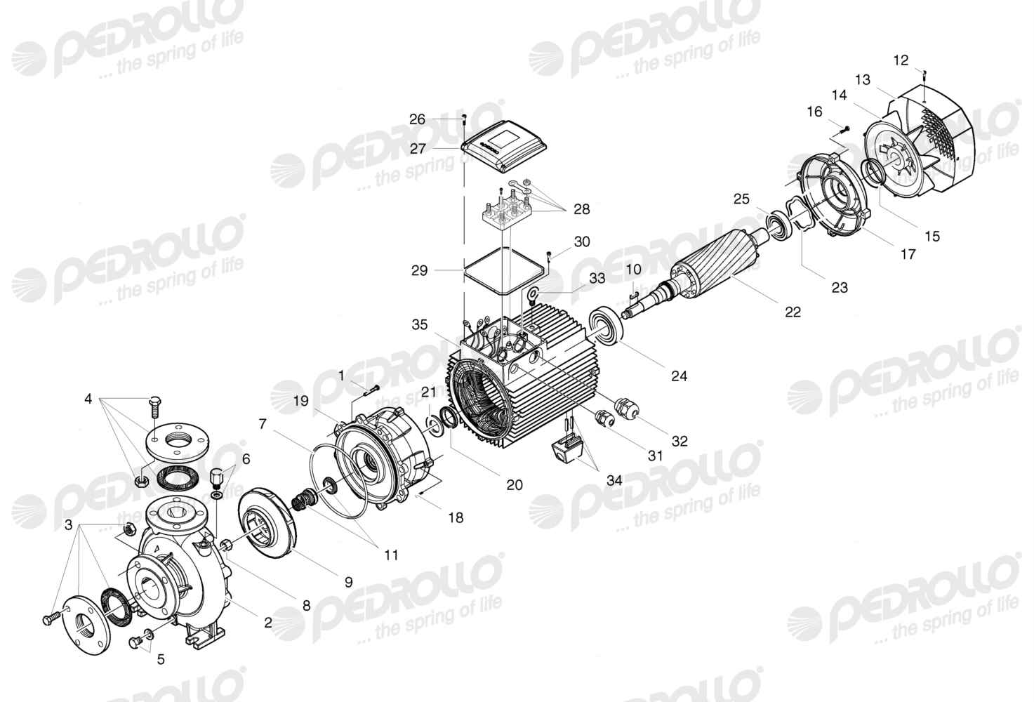 Despiece Pedrollo F 50/200C · 220/380V · versión Sin letra