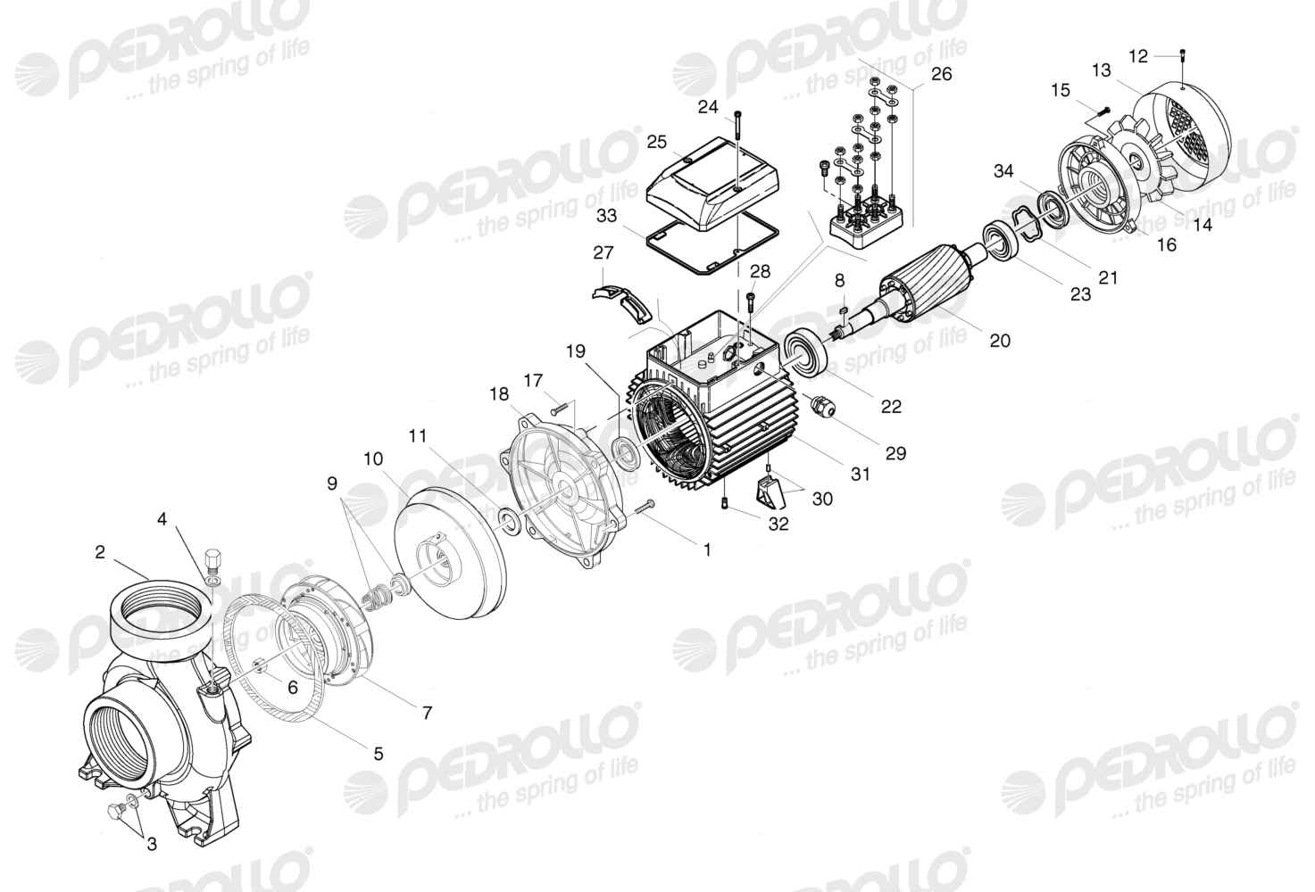 Despiece Pedrollo HF 8B · 220/380V · versión Sin letra