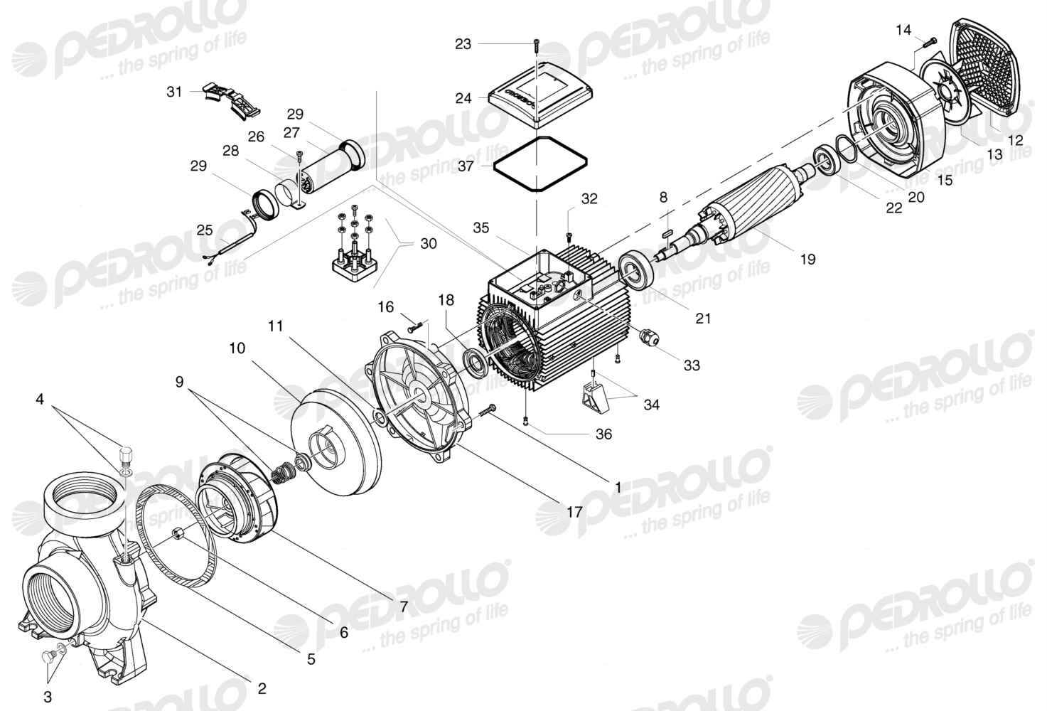 Despiece de la Pedrollo HFm 20B