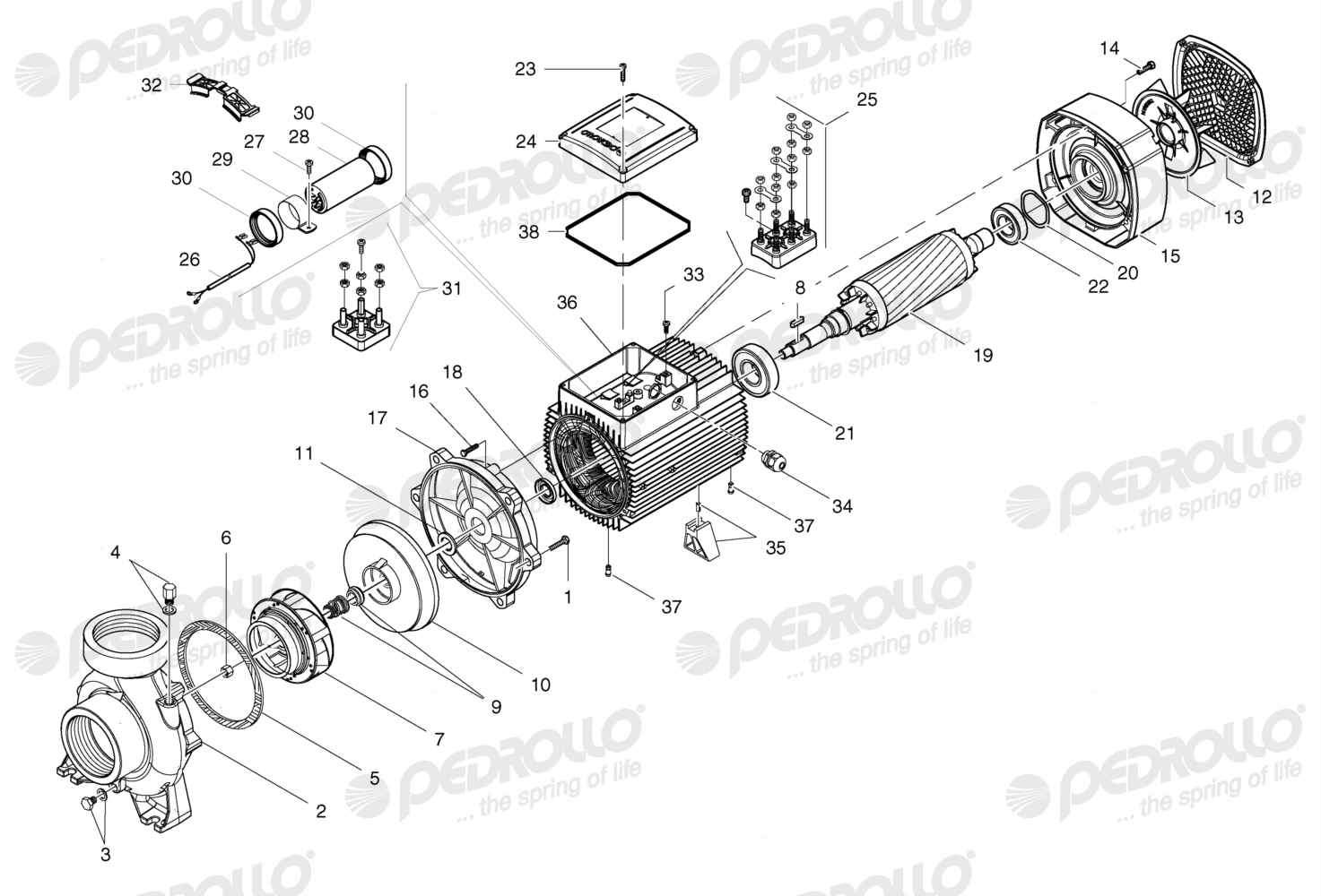 Despiece de la Pedrollo HF 20A