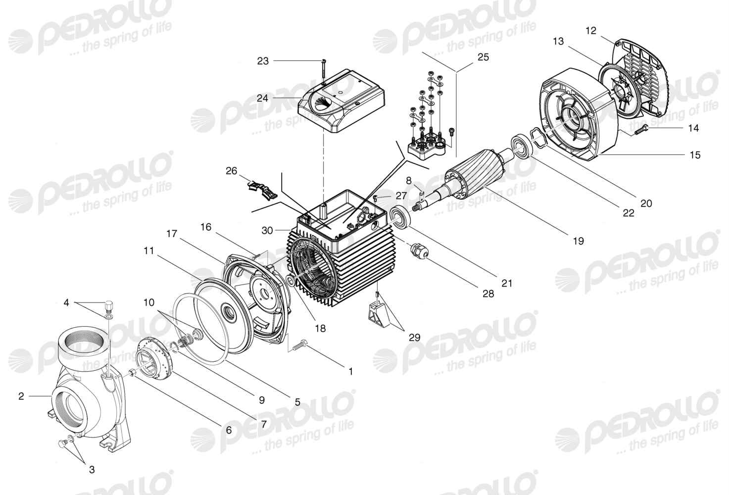 Despiece Pedrollo HF 6A · 220/380V · versión B