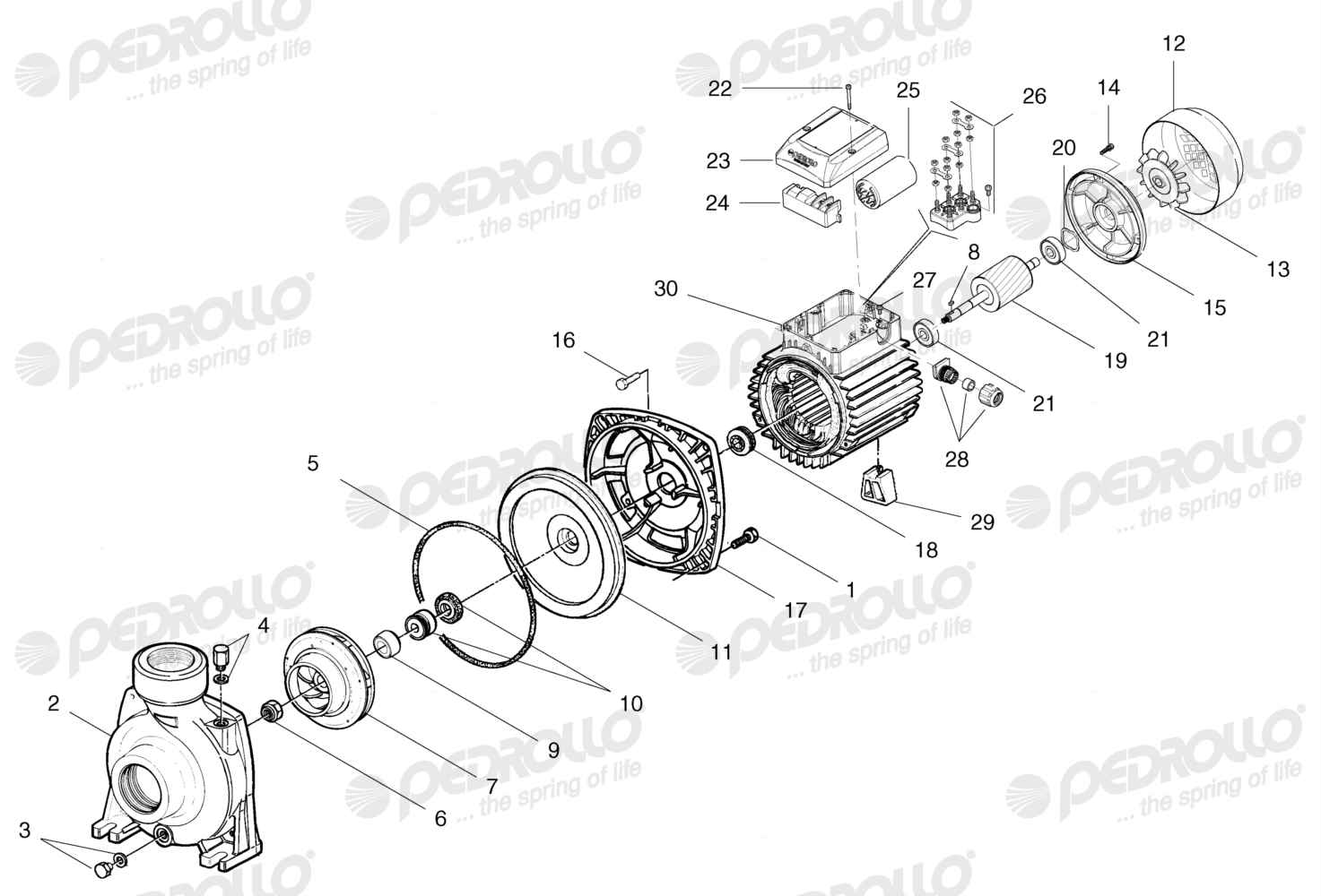Despiece Pedrollo HFm 51A · 220V · versión Sin letra