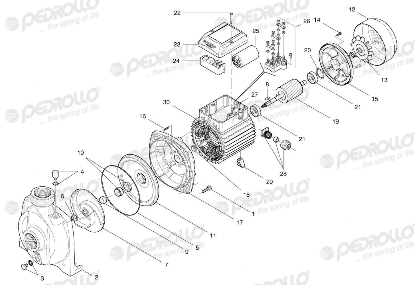 Despiece Pedrollo NGAm 1A · 220V · versión A
