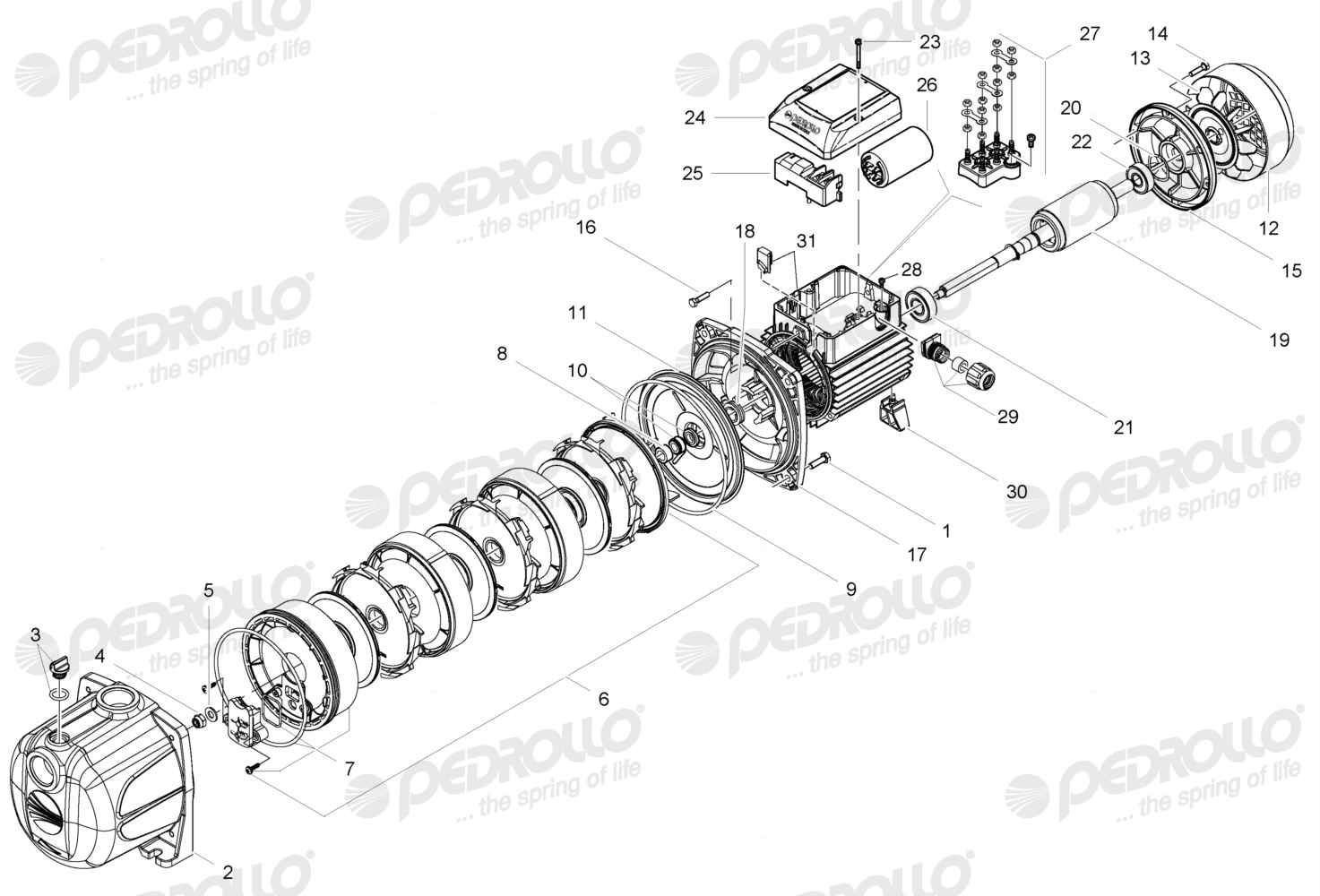 Despiece Pedrollo PLURIJET 3/100 · 220/380V · versión Sin letra