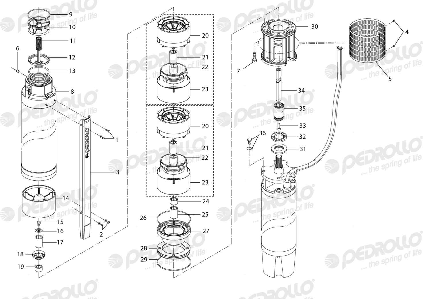 Despiece Pedrollo 6SR175G/150 · Rosca NPT · versión N