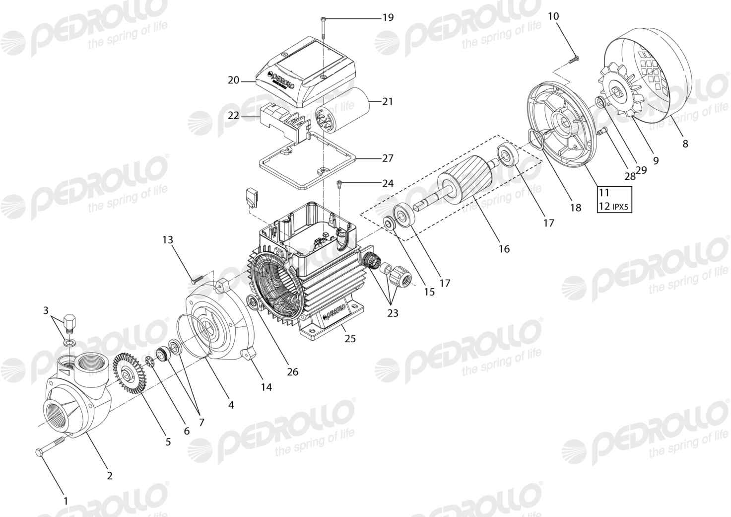 Despiece Pedrollo PKm 60 · 220V · versión A