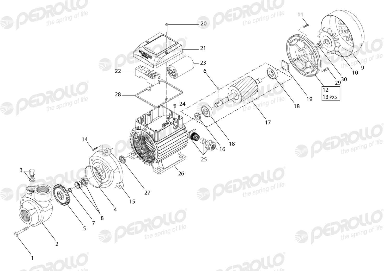 Despiece Pedrollo PKm 90 · 220V · versión A