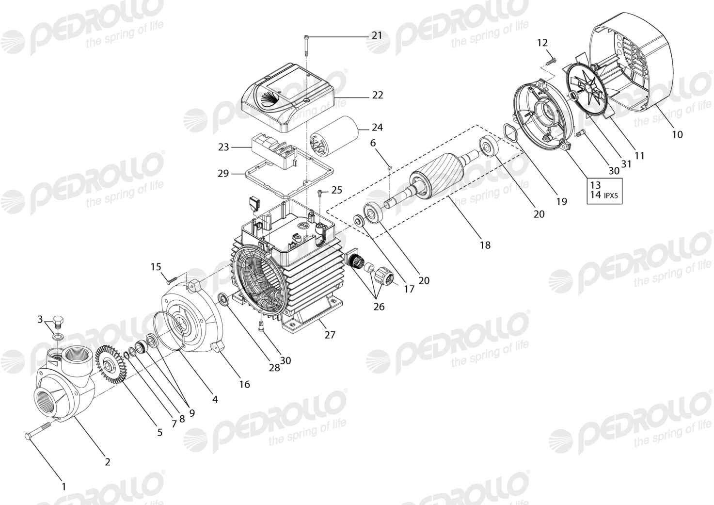 Despiece Pedrollo PKm 90 · 220V · versión B