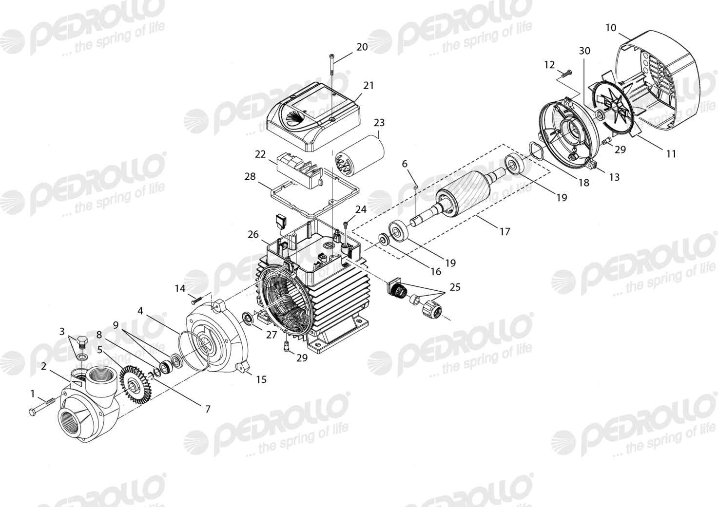 Despiece Pedrollo PKm 90 · 220V · versión C