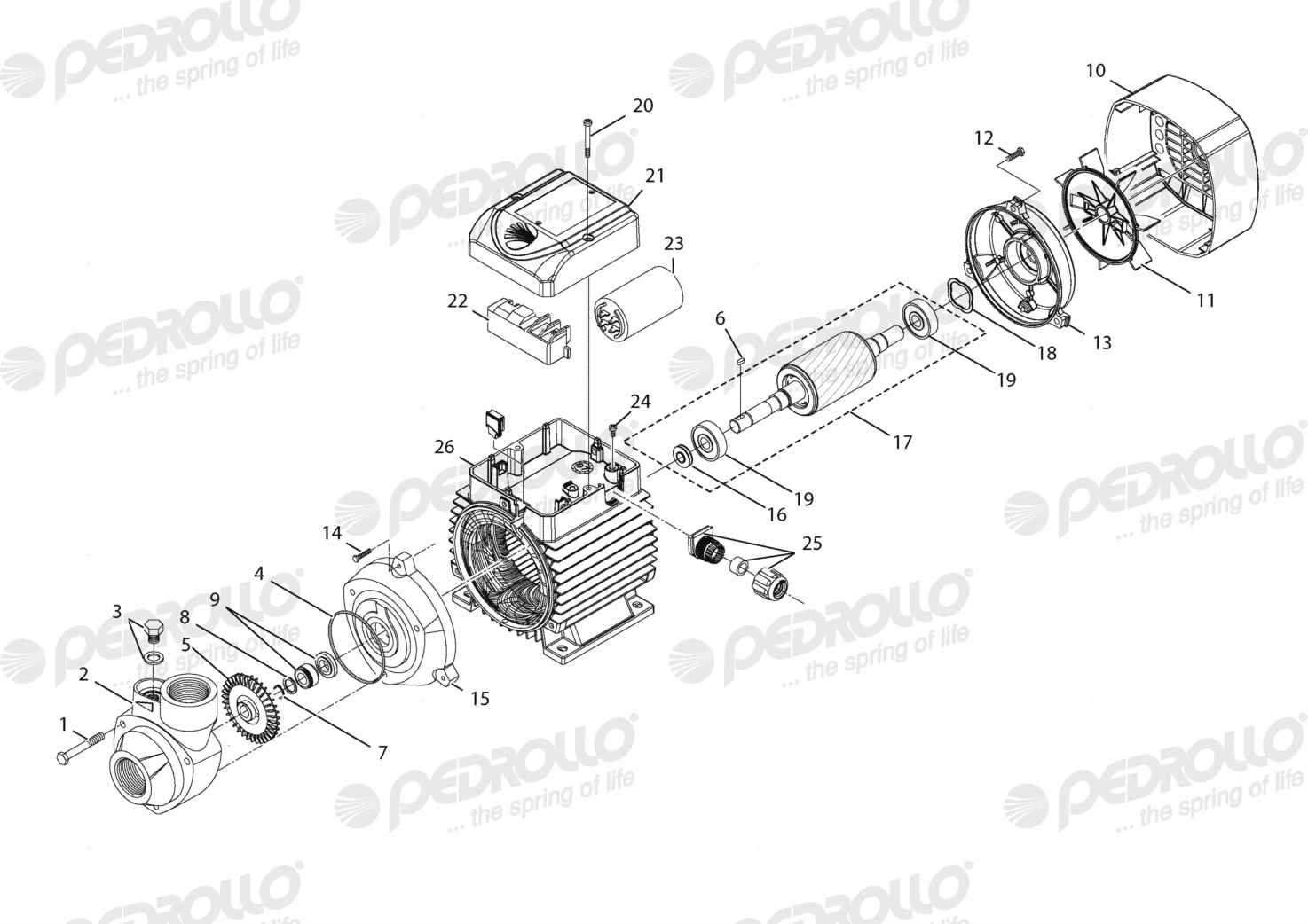 Despiece Pedrollo PKm 90 · 220V · versión E