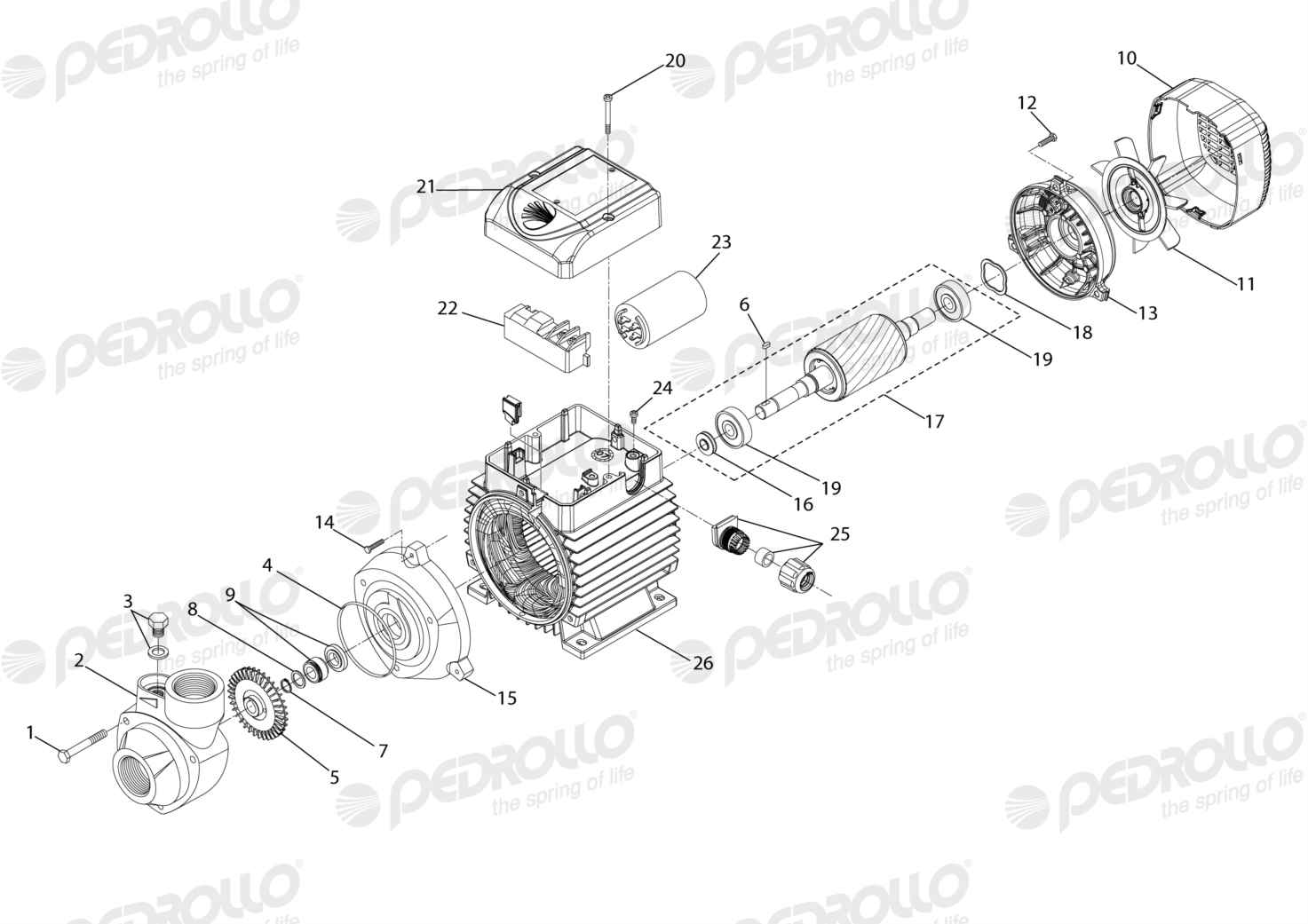 Despiece Pedrollo PKm 90 · 220V · versión F