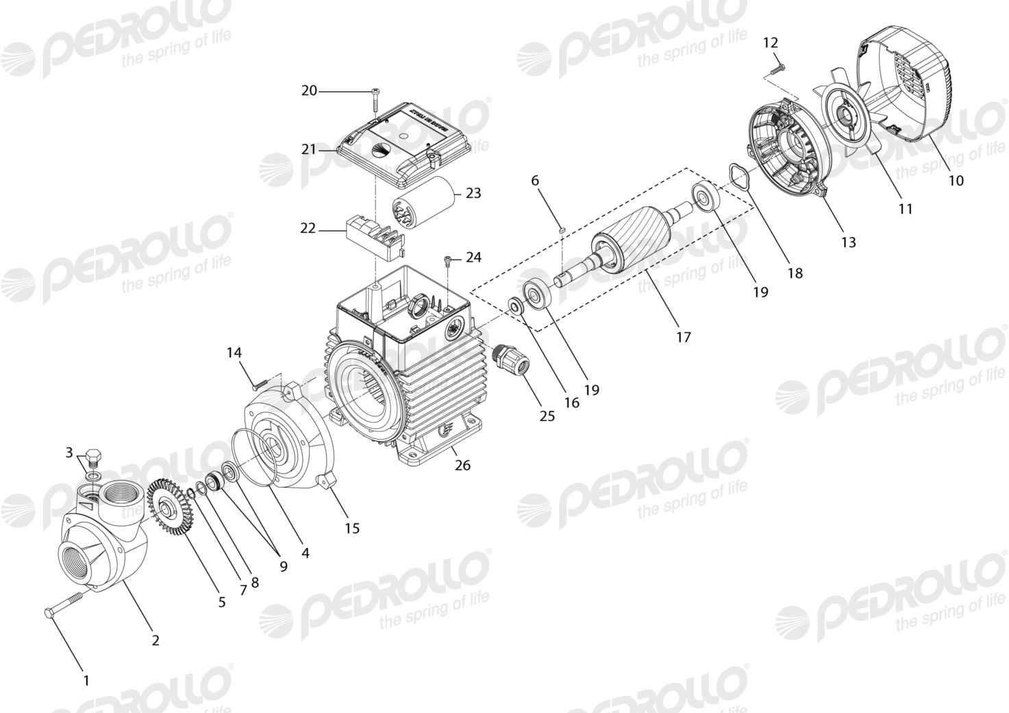 Despiece Pedrollo PKm 90 · 220V · versión H