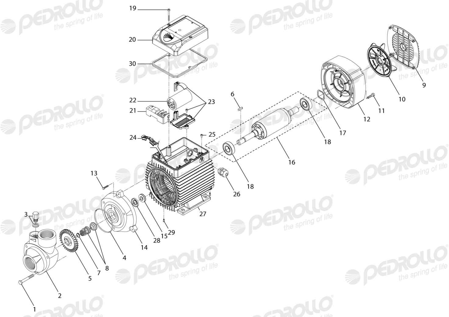 Despiece Pedrollo PKm 100 · 220V · versión C