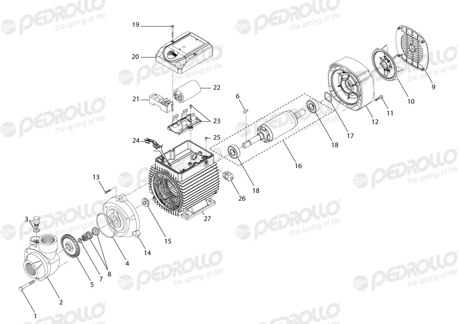 Despiece Pedrollo PKm 100 · 220V · versión D