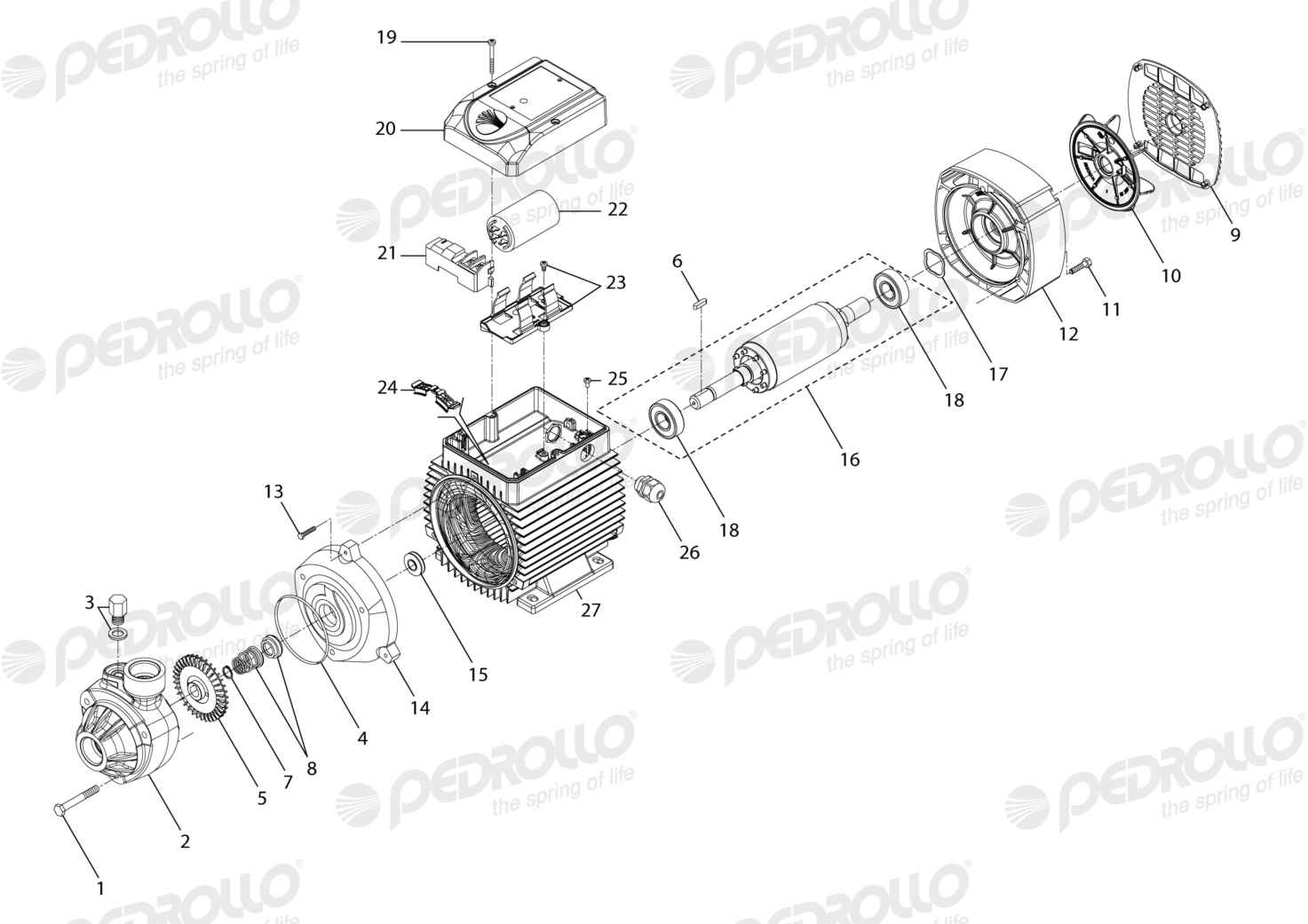 Despiece Pedrollo PKm 100 · 220V · versión E