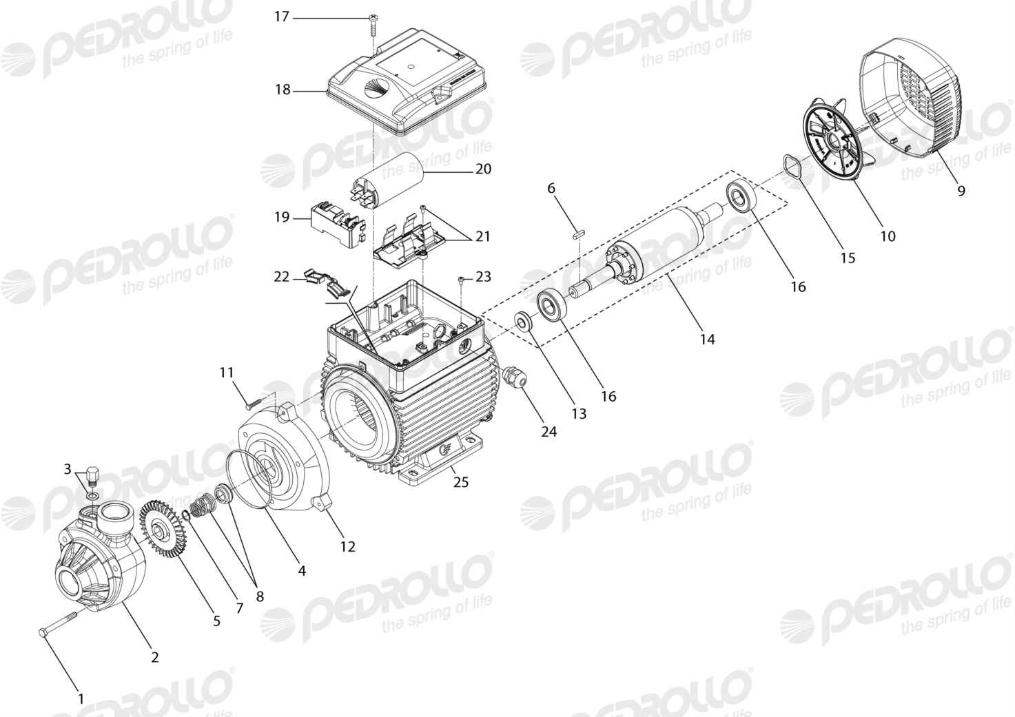 Despiece Pedrollo PKm 100 · 220V · versión F