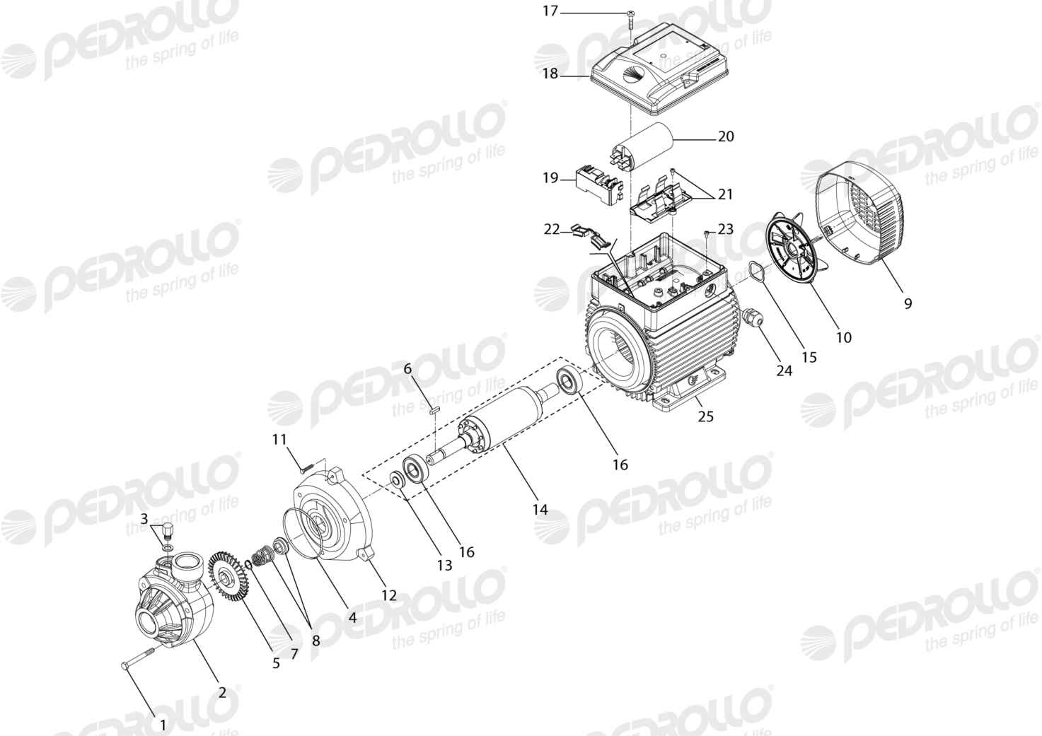 Despiece de la Pedrollo PKm 100