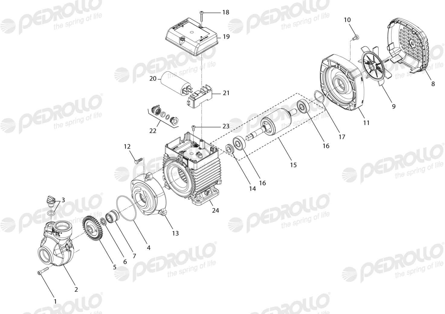 Despiece de la electrobomba Pedrollo PKm 60