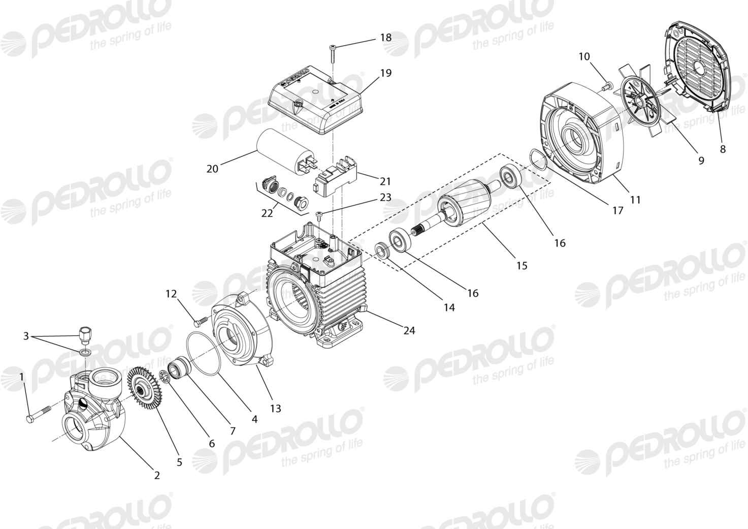 Despiece Pedrollo PKm 60 · 110V · versión C