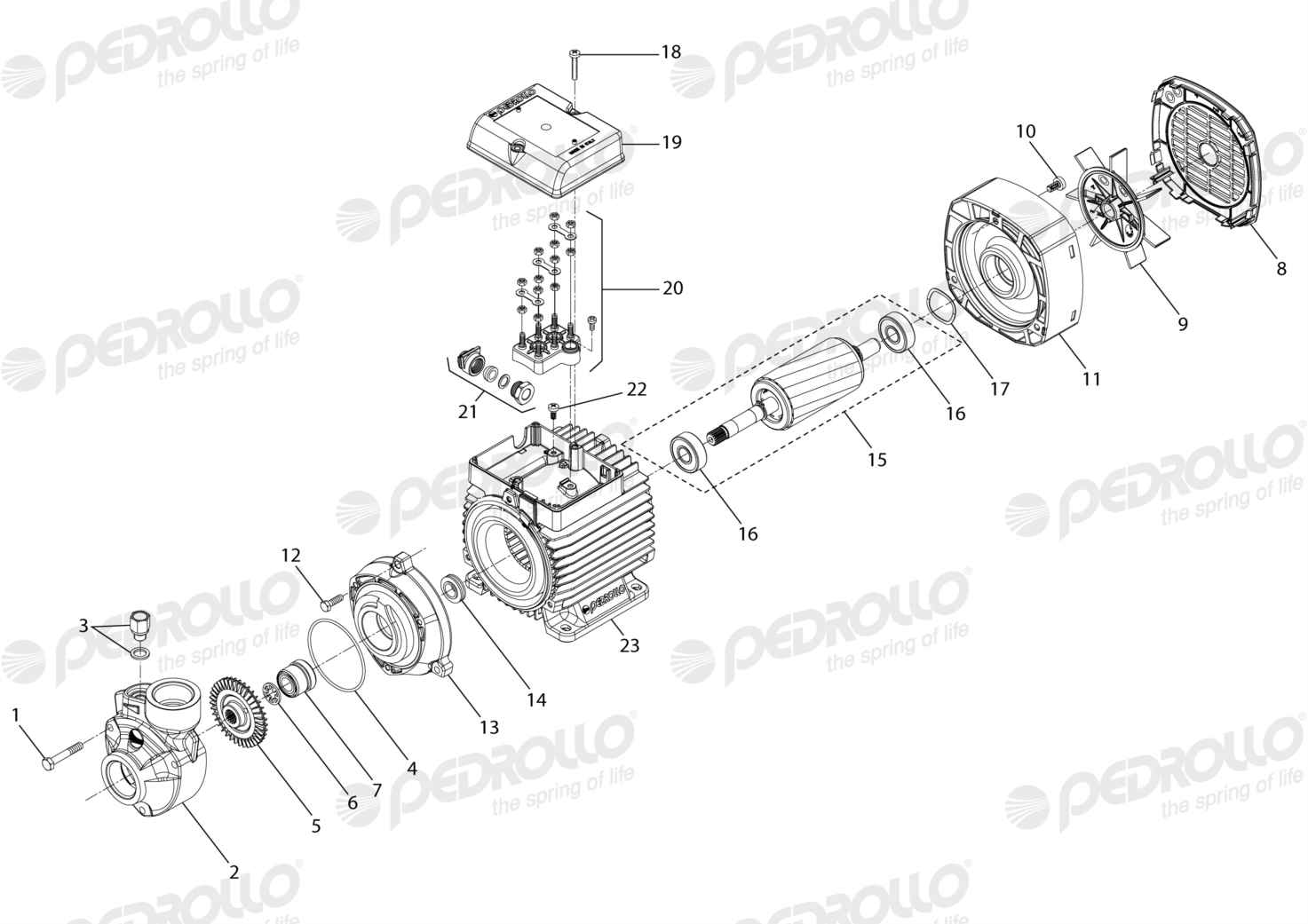Despiece Pedrollo PK 65 · 220/380V · versión B