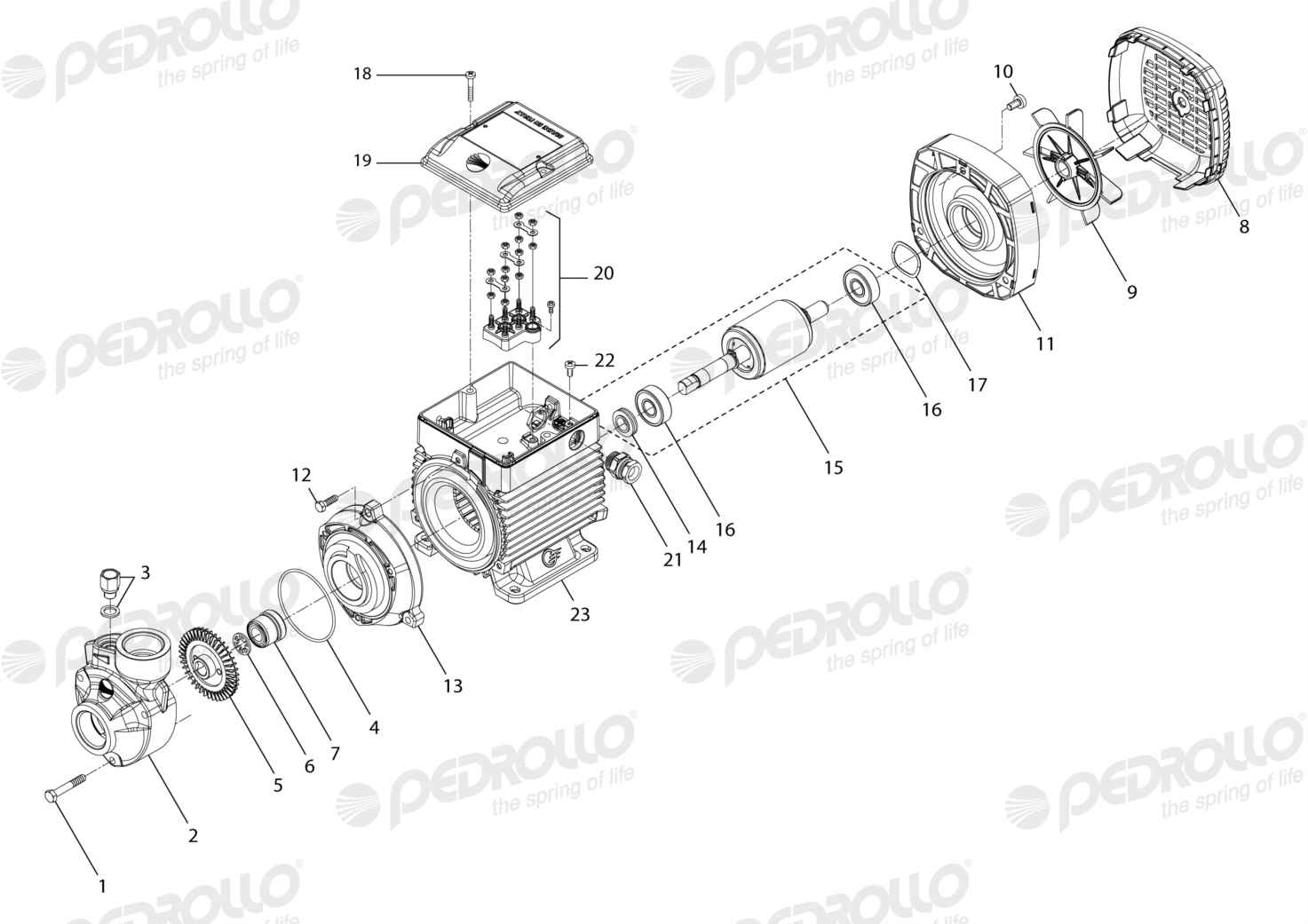 Despiece Pedrollo PK 65 · 220/380V · versión E