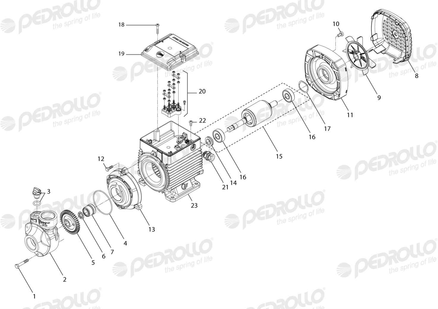 Despiece de la Pedrollo PK 65