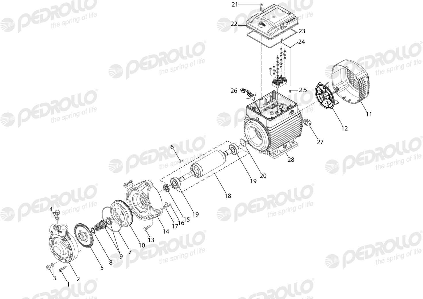 Despiece de la Pedrollo PQ 3000