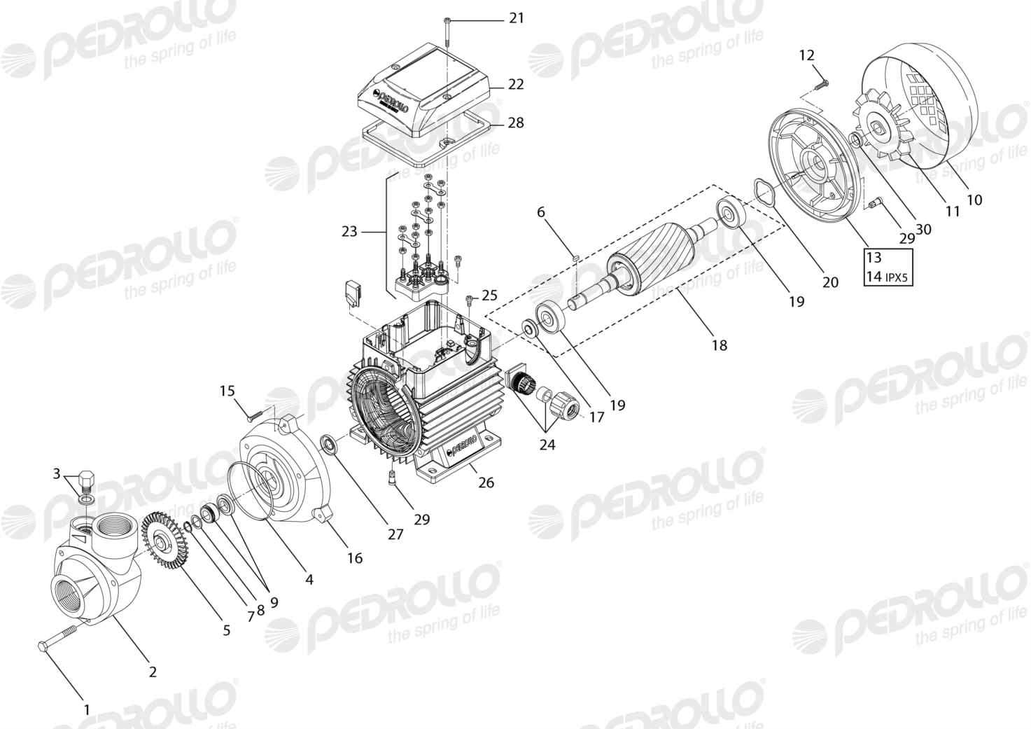 Despiece Pedrollo PK 65 · 220/380V · versión A