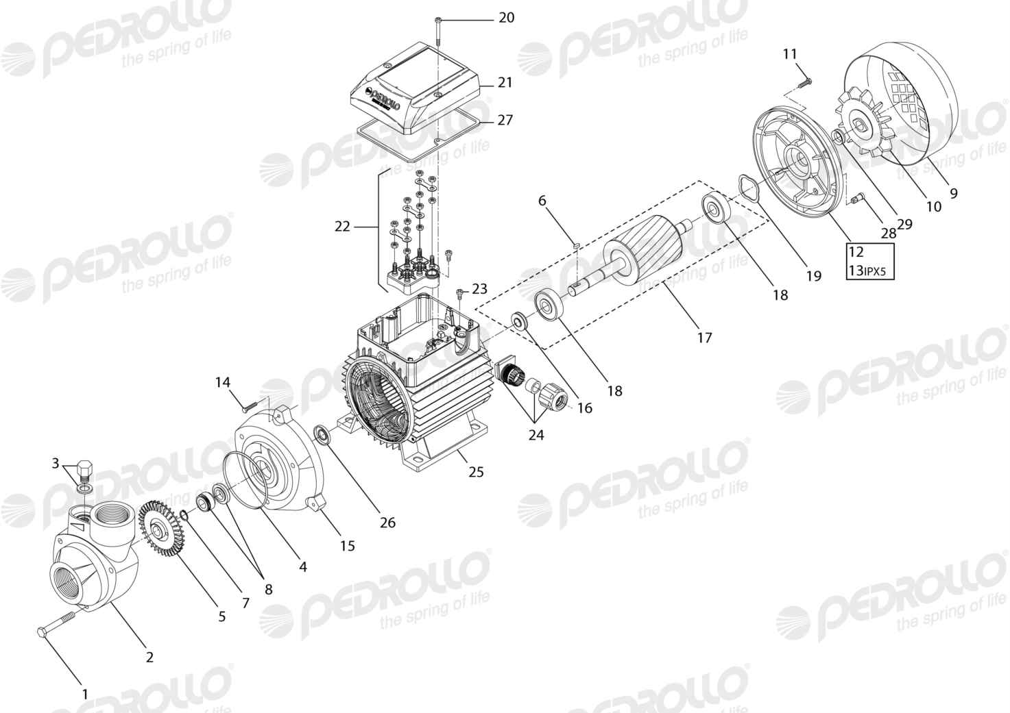 Despiece Pedrollo PK 90 · 220/380V · versión A