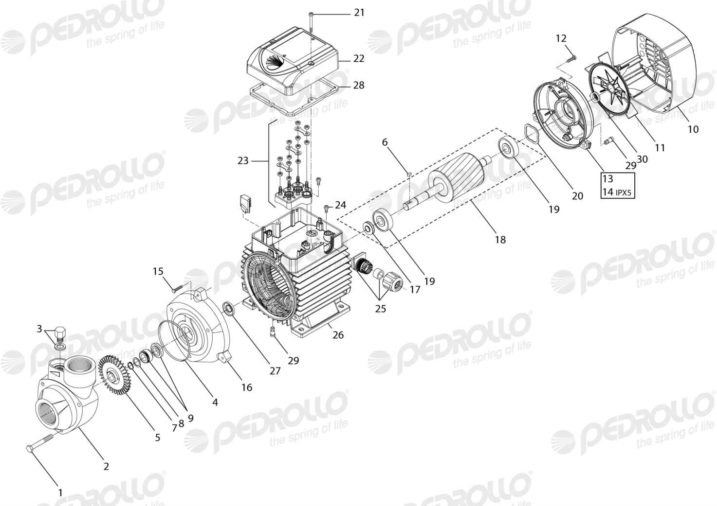 Despiece Pedrollo PK 90 · 220/380V · versión B